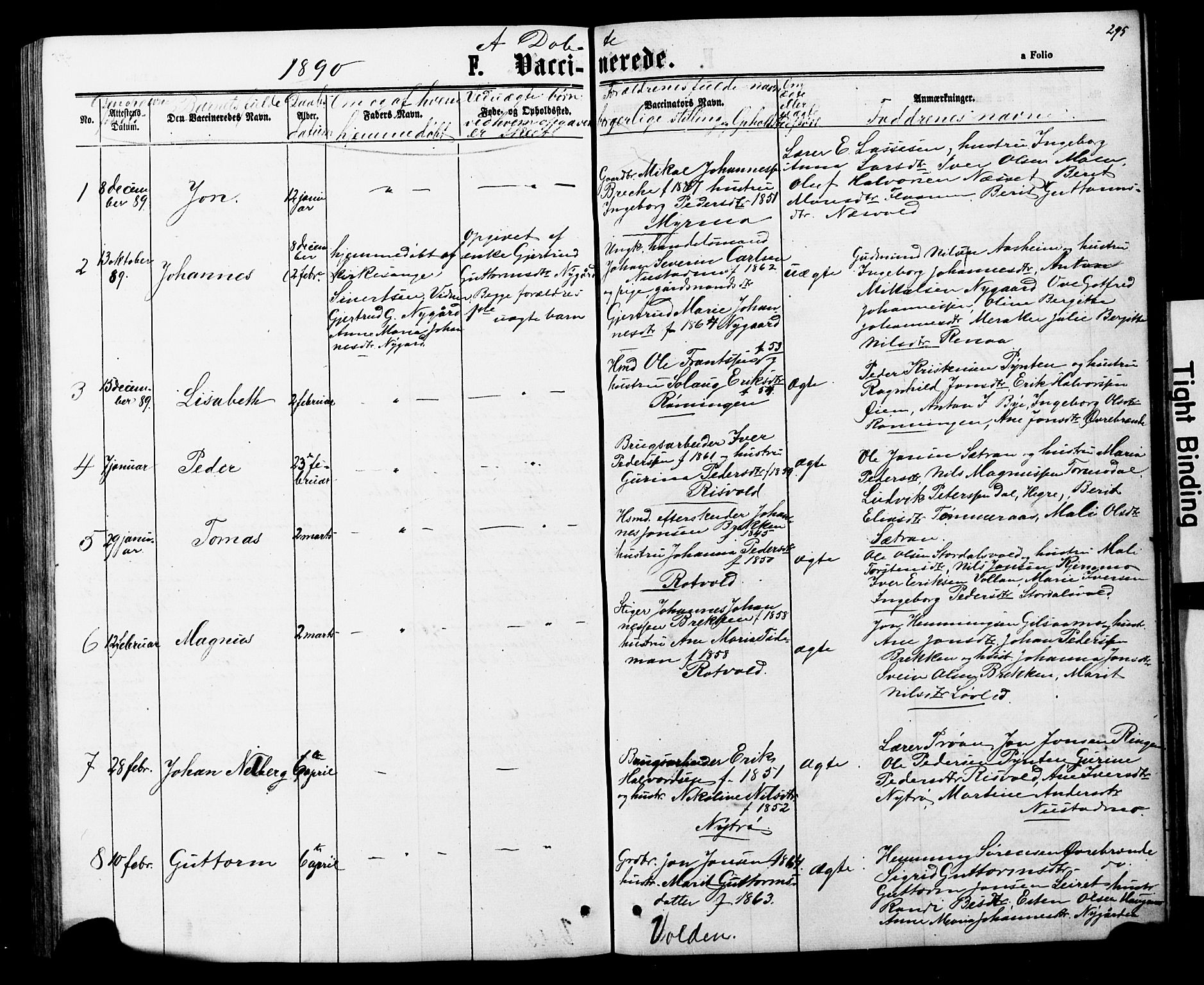 Ministerialprotokoller, klokkerbøker og fødselsregistre - Nord-Trøndelag, SAT/A-1458/706/L0049: Parish register (copy) no. 706C01, 1864-1895, p. 295
