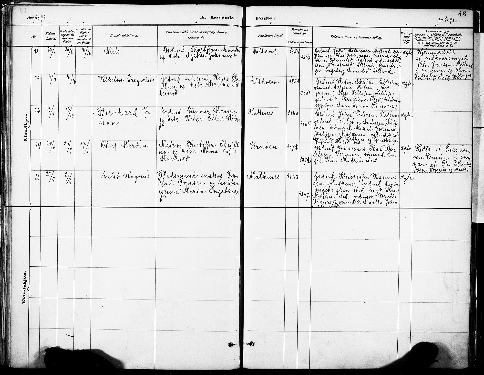 Tysnes sokneprestembete, AV/SAB-A-78601/H/Haa: Parish register (official) no. B 1, 1887-1906, p. 43