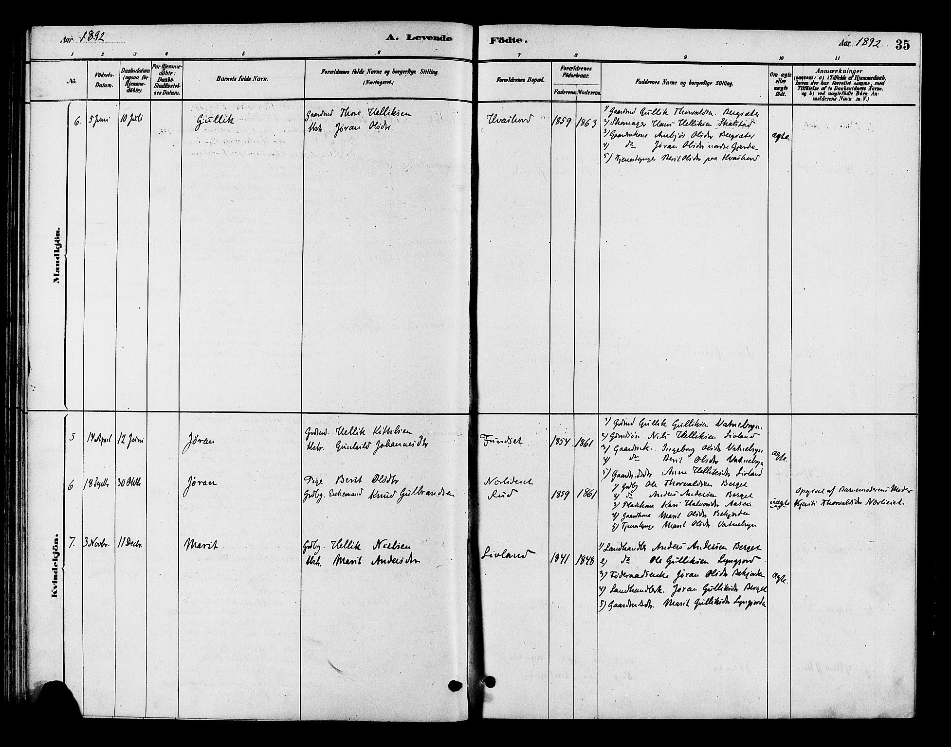Flesberg kirkebøker, SAKO/A-18/F/Fc/L0001: Parish register (official) no. III 1, 1879-1905, p. 35
