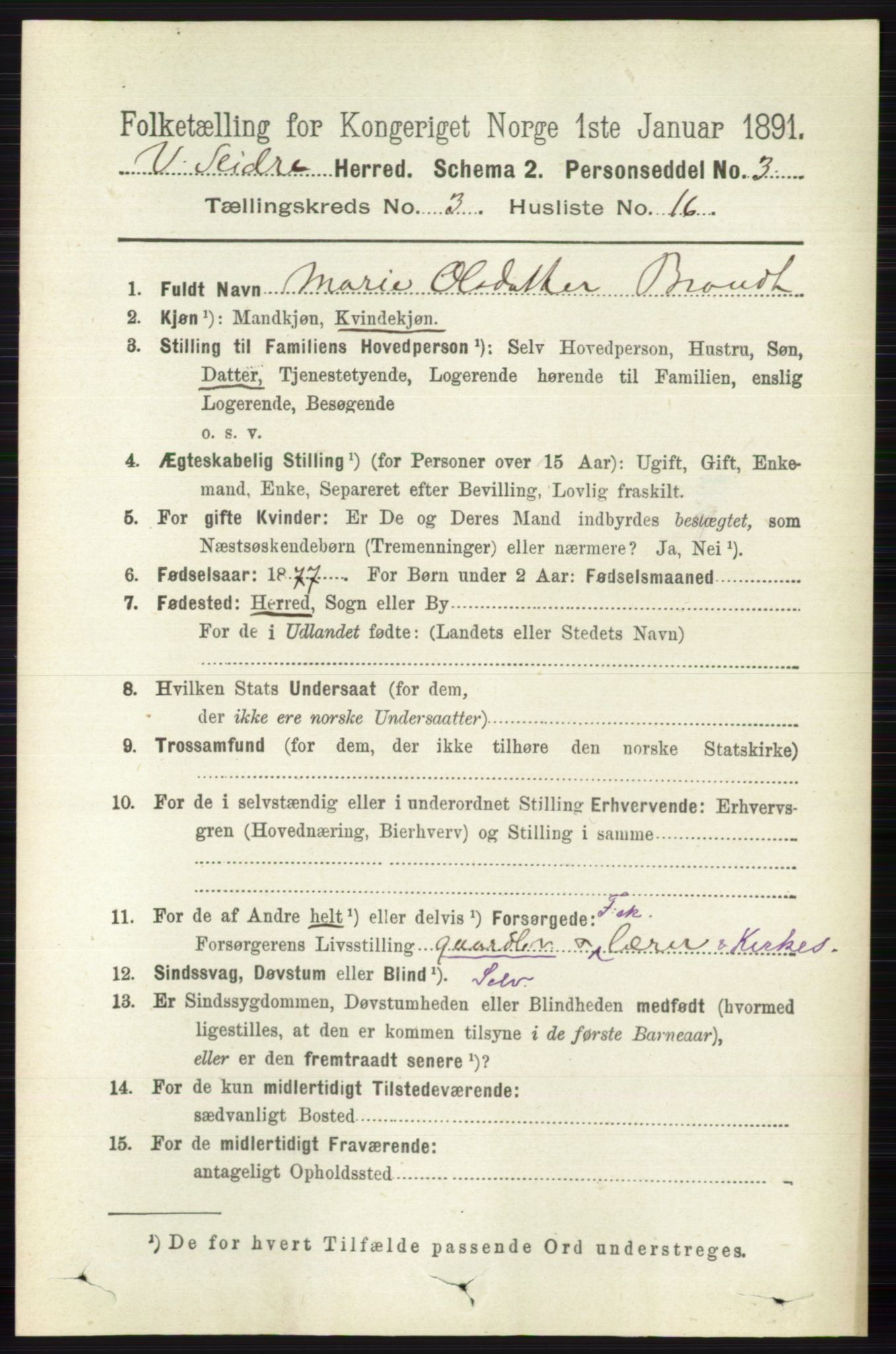 RA, 1891 census for 0543 Vestre Slidre, 1891, p. 925