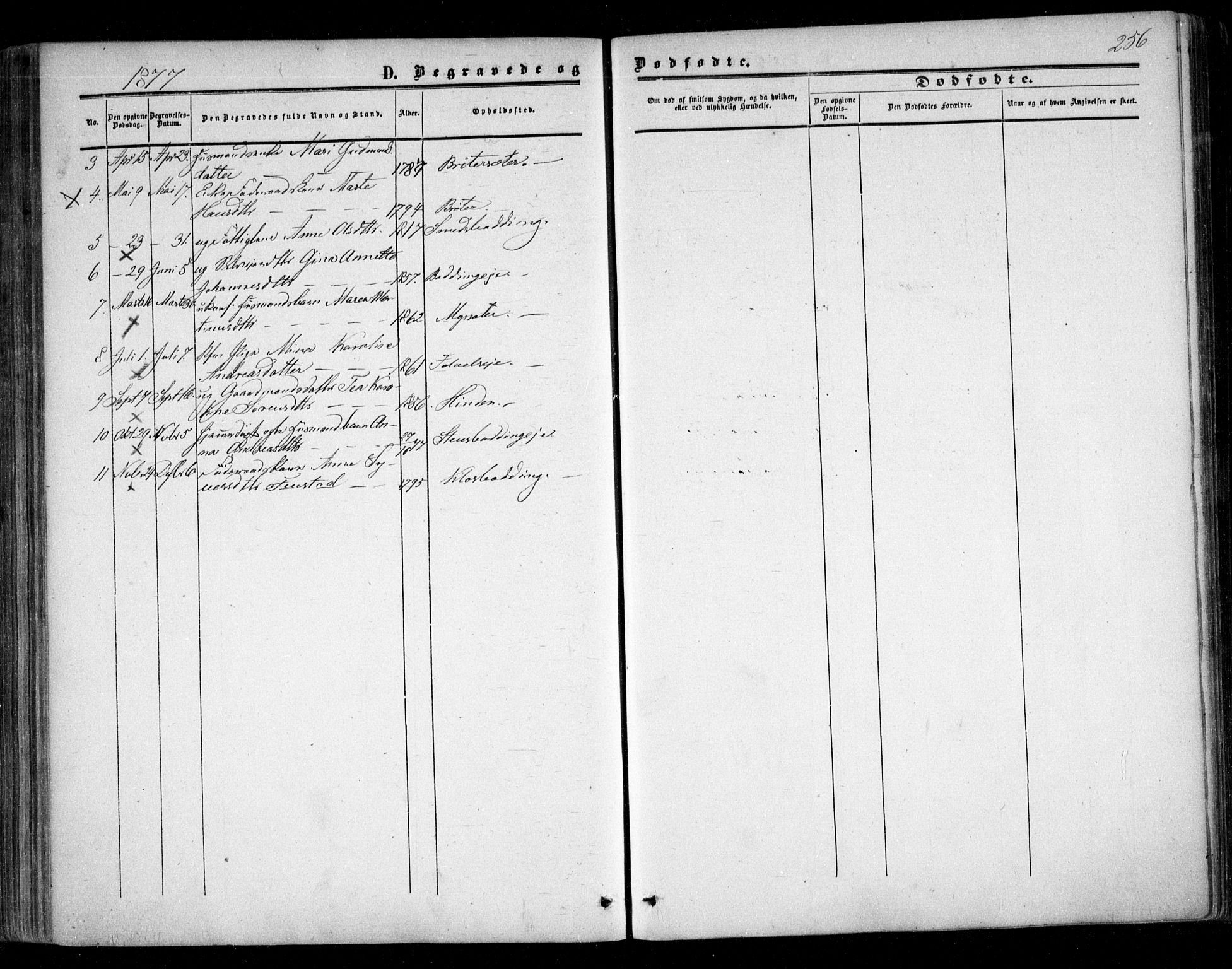 Nes prestekontor Kirkebøker, AV/SAO-A-10410/F/Fc/L0001: Parish register (official) no. III 1, 1859-1882, p. 256