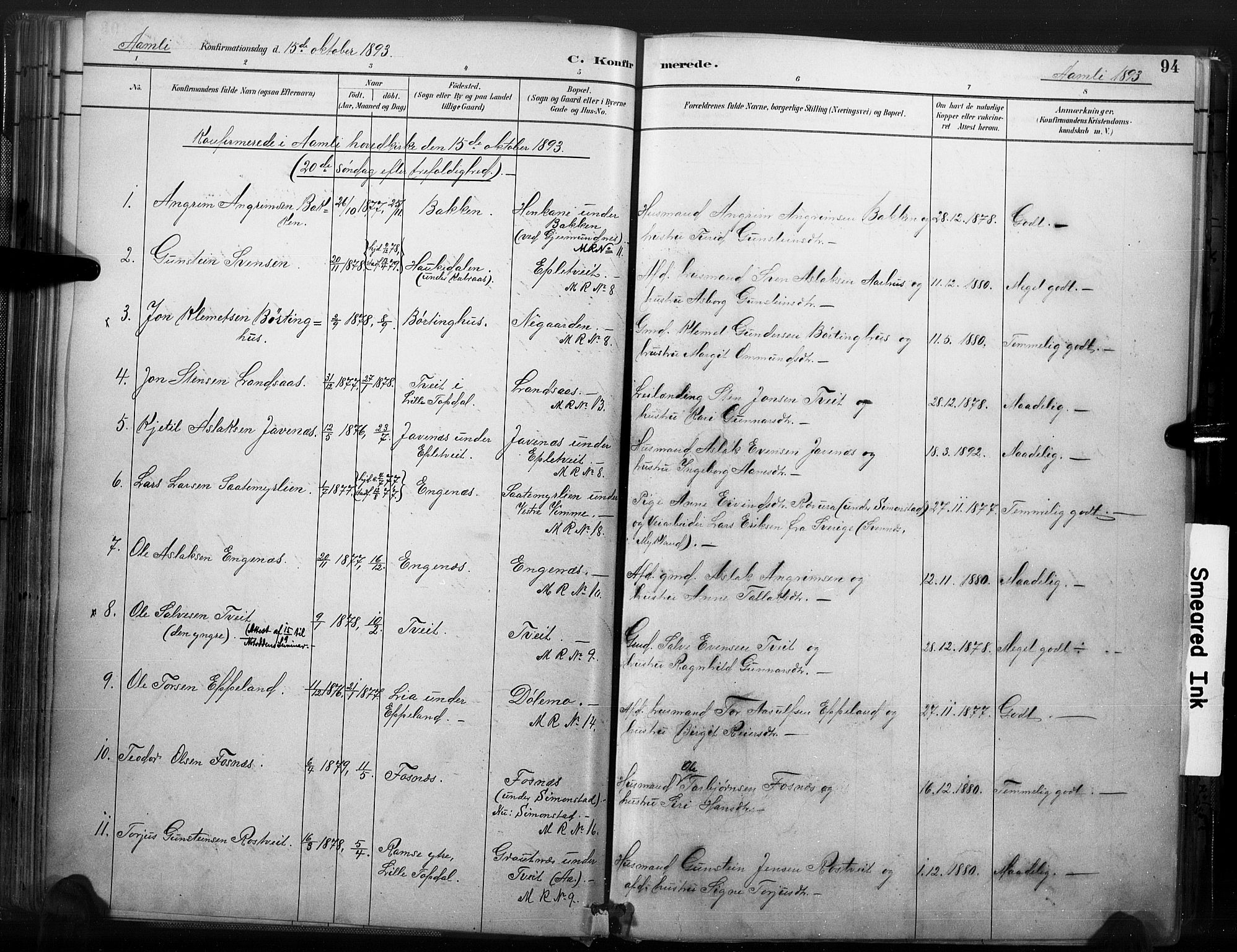 Åmli sokneprestkontor, SAK/1111-0050/F/Fa/Fac/L0010: Parish register (official) no. A 10 /1, 1885-1899, p. 94