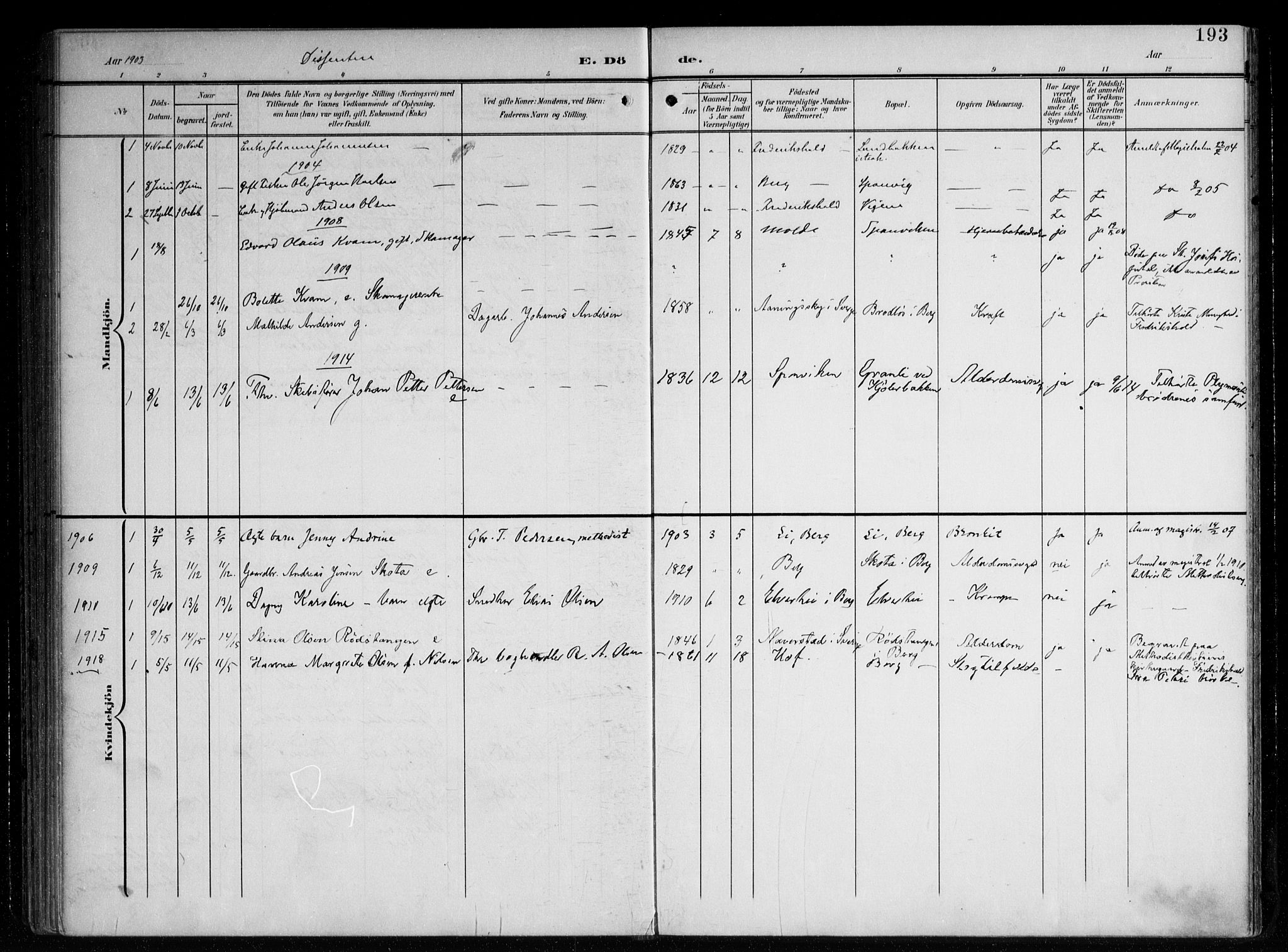 Berg prestekontor Kirkebøker, SAO/A-10902/F/Fa/L0008: Parish register (official) no. I 8, 1902-1920, p. 193