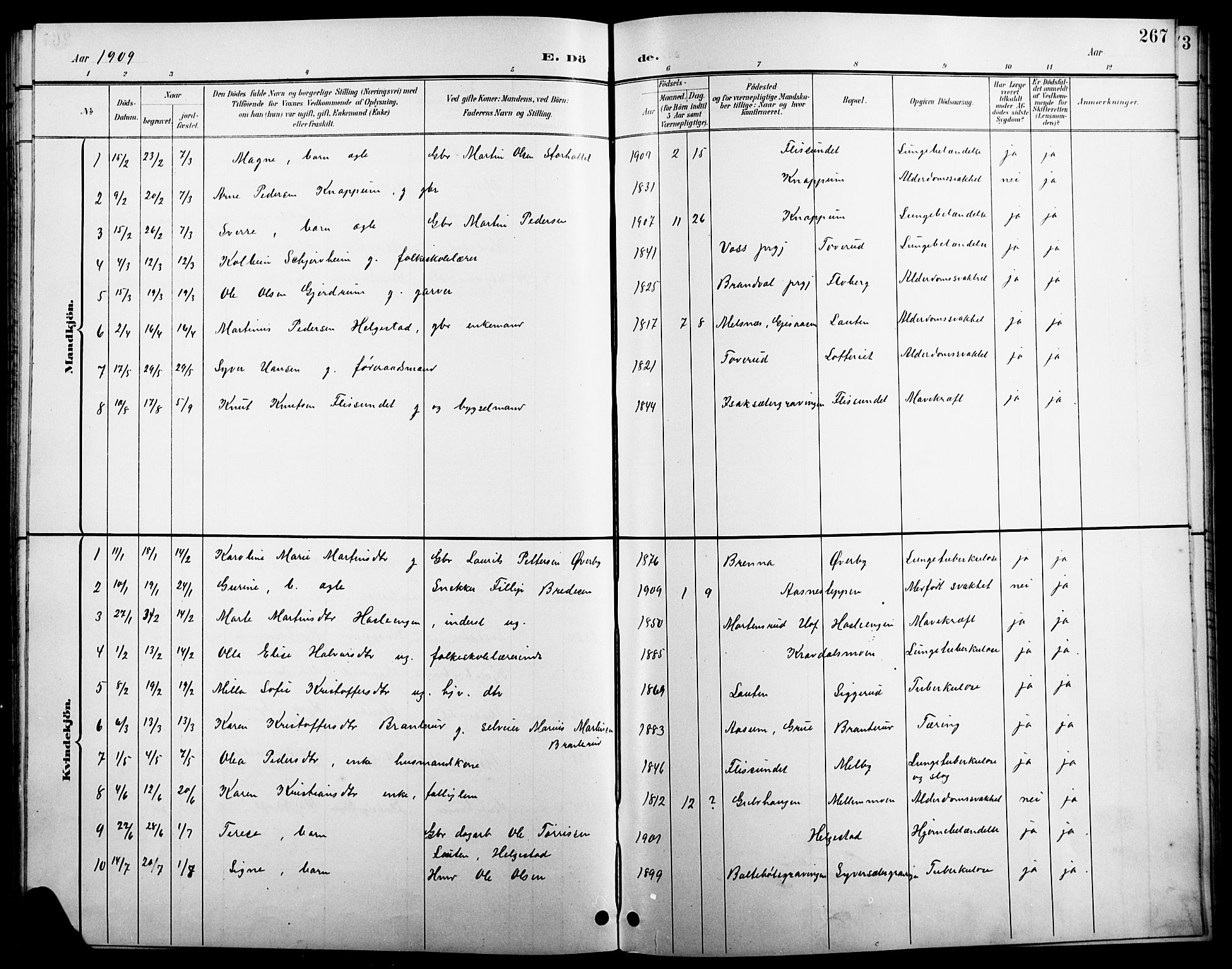 Åsnes prestekontor, SAH/PREST-042/H/Ha/Hab/L0004: Parish register (copy) no. 4, 1895-1909, p. 267
