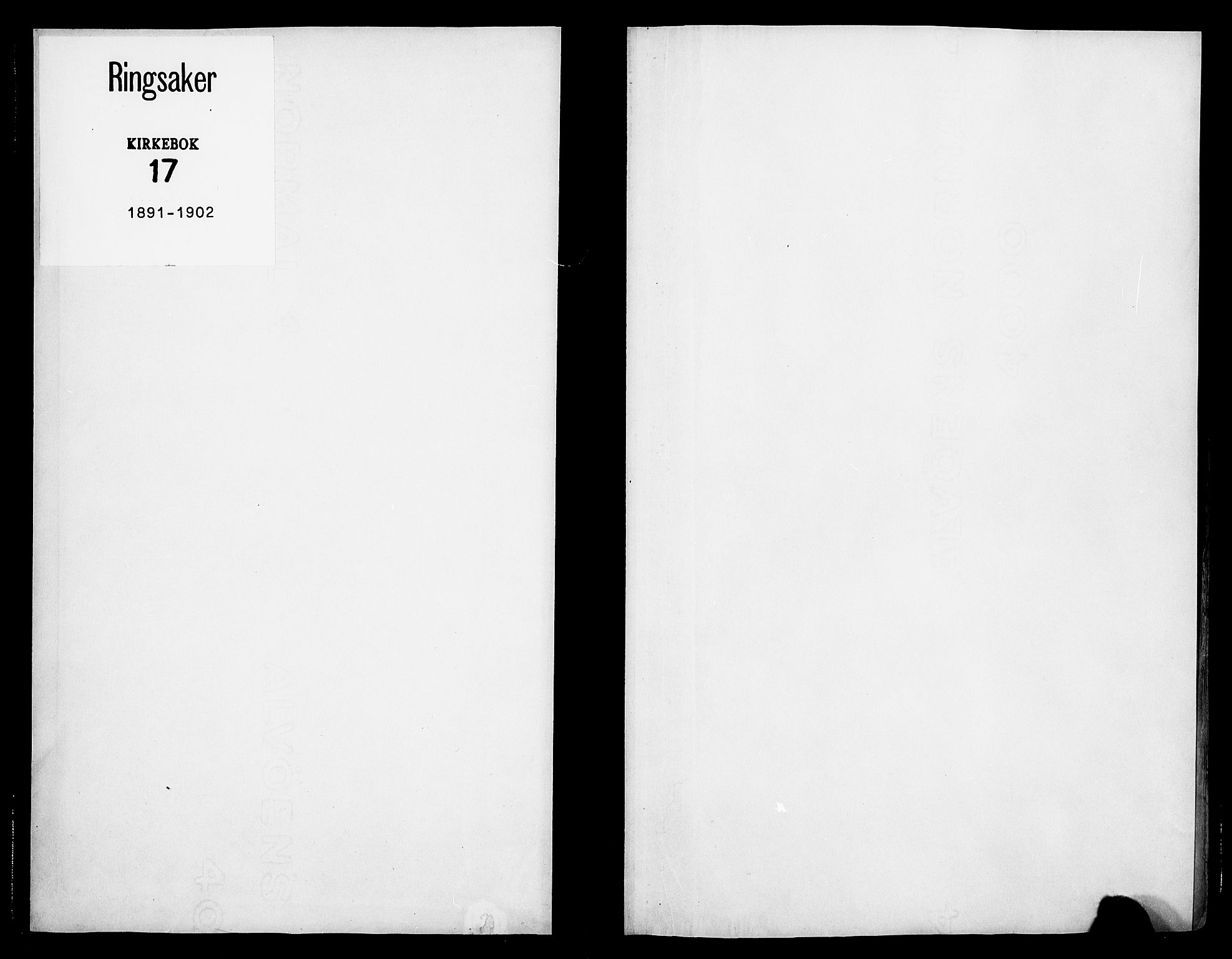 Ringsaker prestekontor, AV/SAH-PREST-014/K/Ka/L0017: Parish register (official) no. 17, 1891-1902