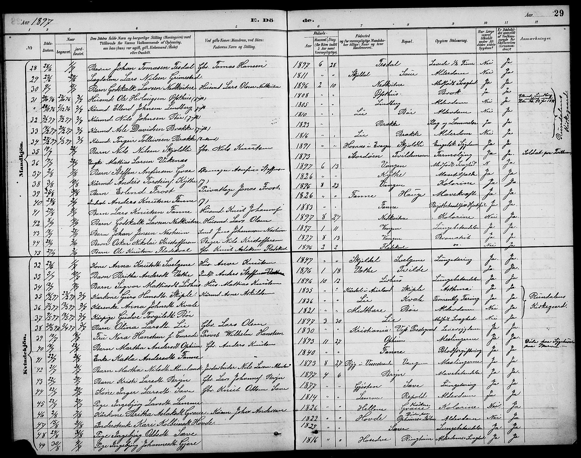 Voss sokneprestembete, AV/SAB-A-79001/H/Hab: Parish register (copy) no. F 1, 1890-1912, p. 29