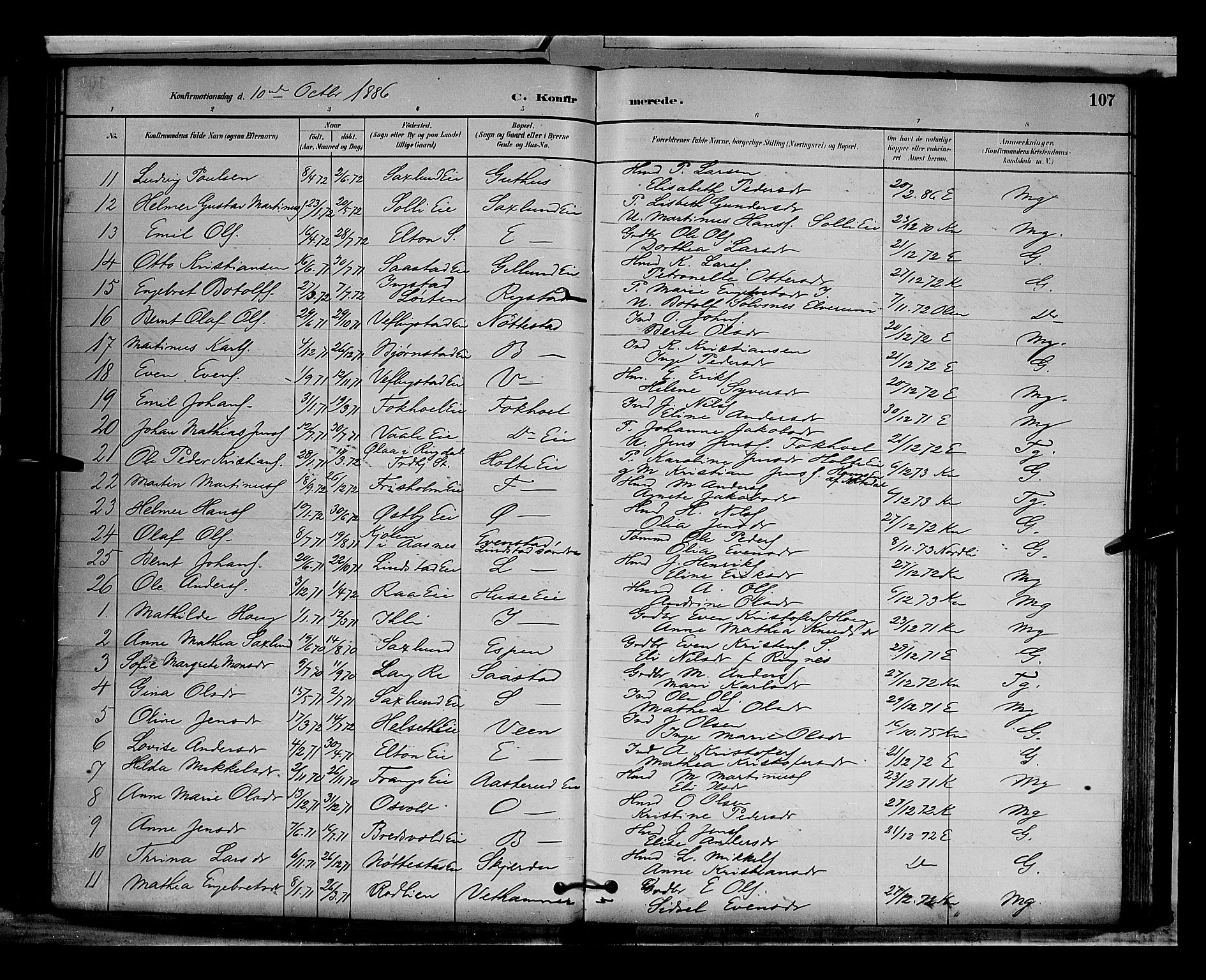 Stange prestekontor, SAH/PREST-002/L/L0009: Parish register (copy) no. 9, 1883-1899, p. 107