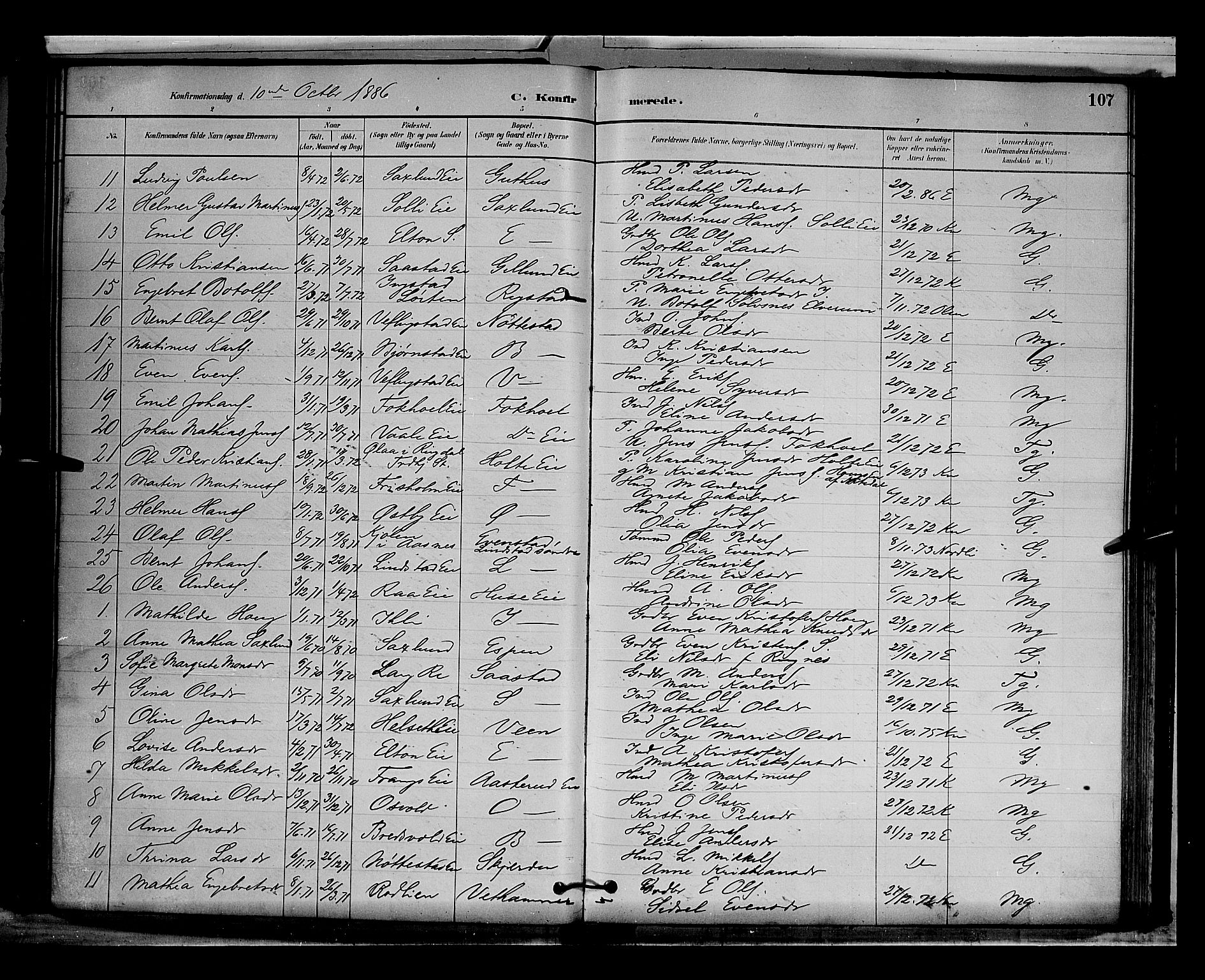 Stange prestekontor, AV/SAH-PREST-002/L/L0009: Parish register (copy) no. 9, 1883-1899, p. 107