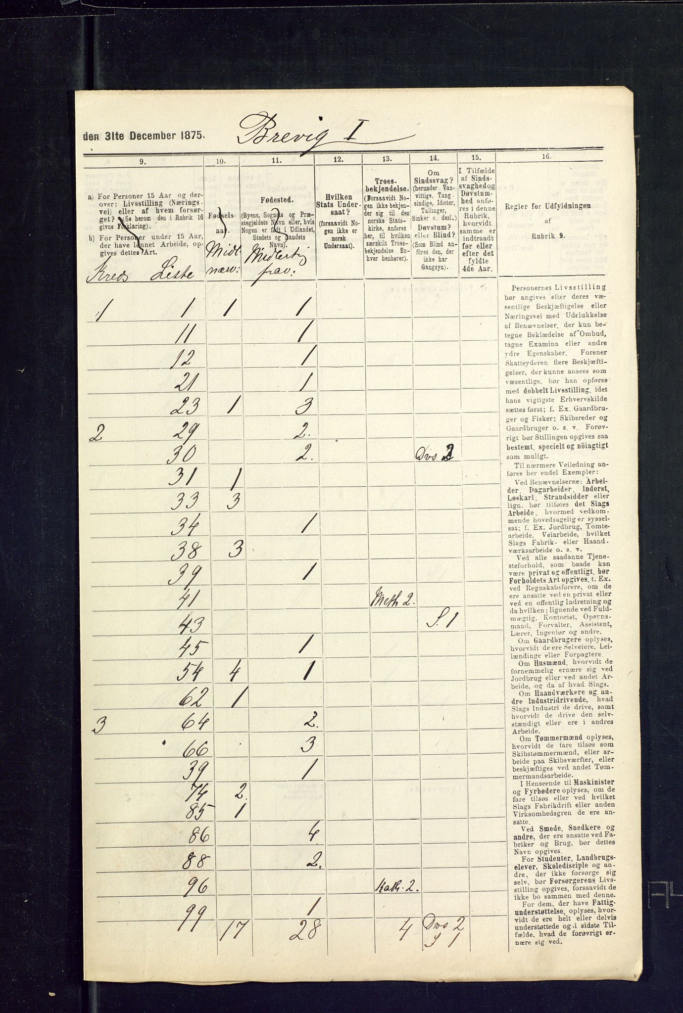 SAKO, 1875 census for 0804P Brevik, 1875, p. 17