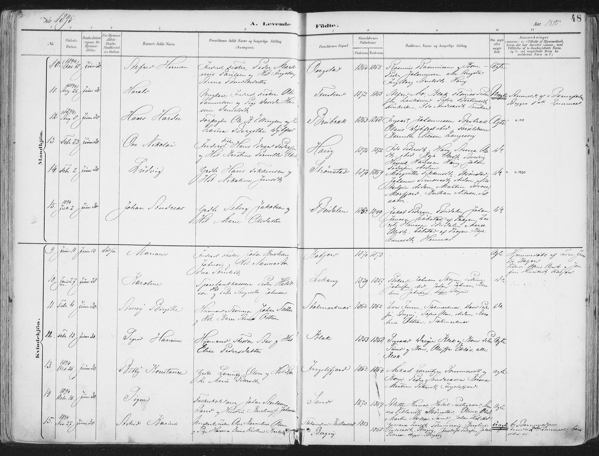 Ministerialprotokoller, klokkerbøker og fødselsregistre - Nordland, SAT/A-1459/888/L1246: Parish register (official) no. 888A12, 1891-1903, p. 48