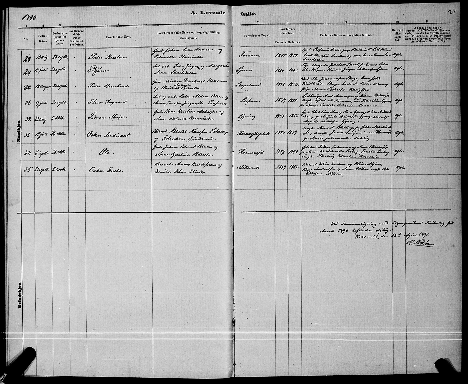 Ministerialprotokoller, klokkerbøker og fødselsregistre - Nord-Trøndelag, SAT/A-1458/780/L0651: Parish register (copy) no. 780C03, 1884-1898, p. 27