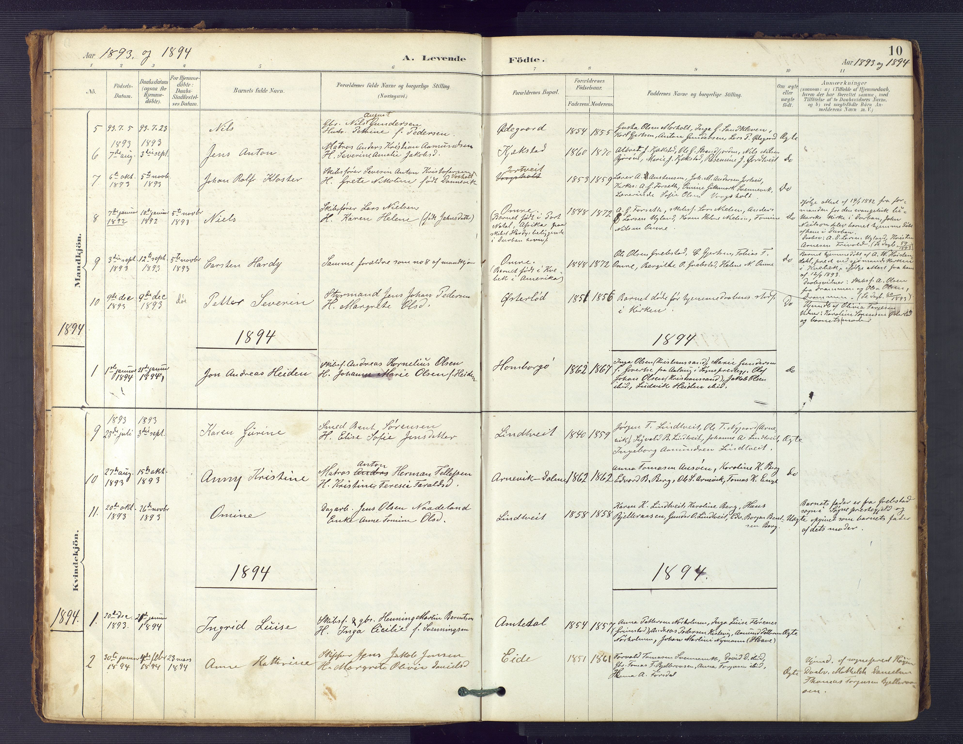 Hommedal sokneprestkontor, SAK/1111-0023/F/Fa/Faa/L0003: Parish register (official) no. A 3, 1885-1916, p. 10