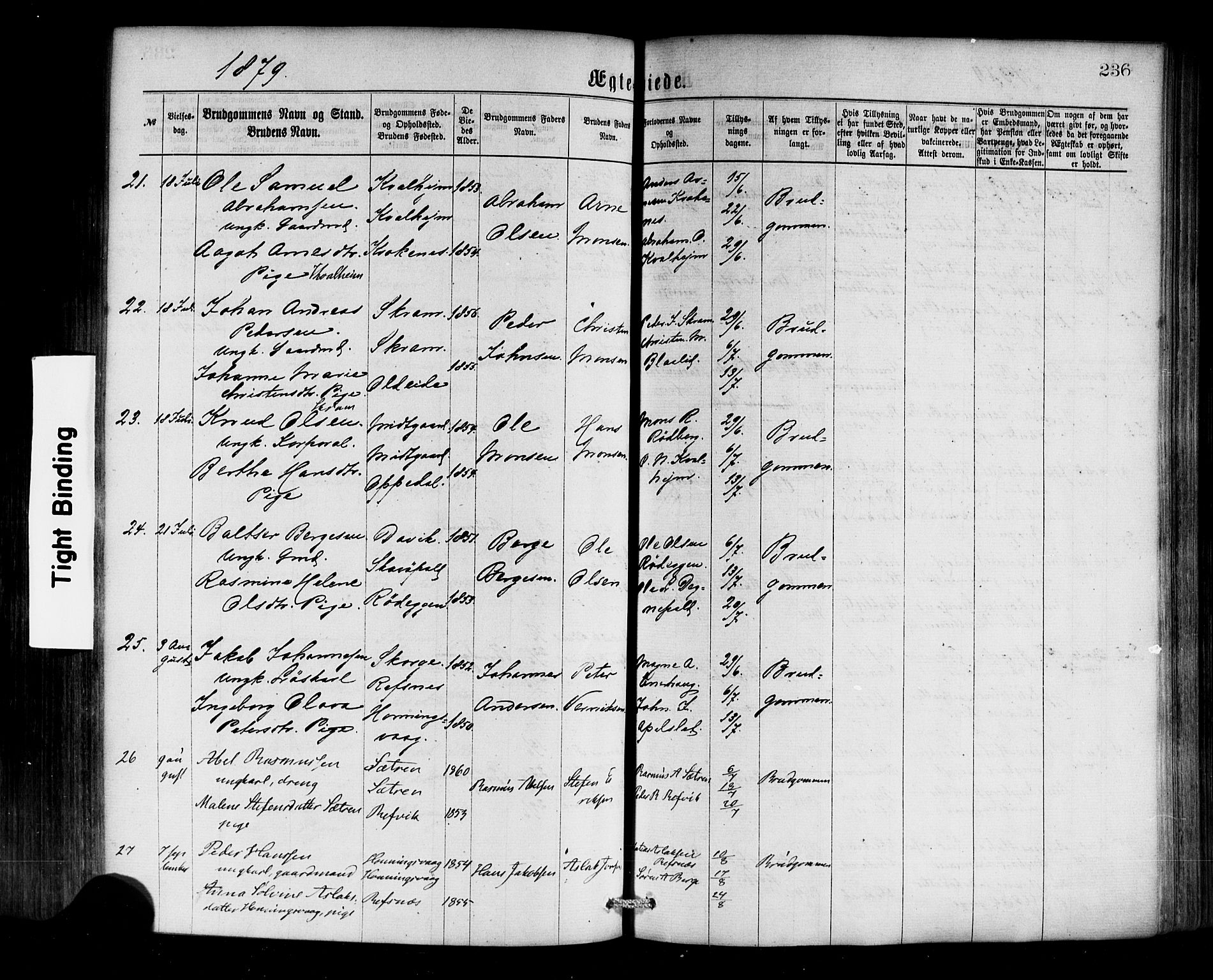 Selje sokneprestembete, SAB/A-99938/H/Ha/Haa/Haaa: Parish register (official) no. A 12, 1870-1880, p. 236