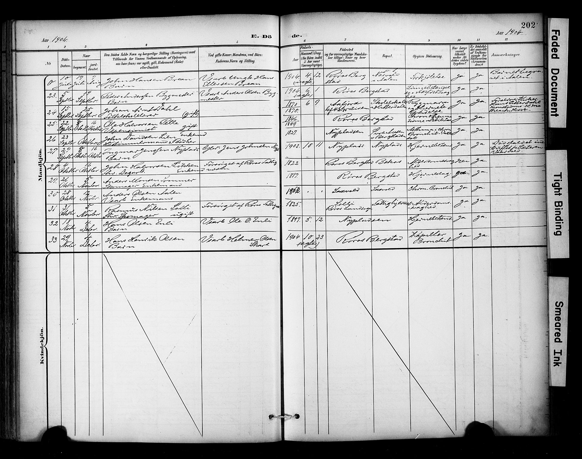Ministerialprotokoller, klokkerbøker og fødselsregistre - Sør-Trøndelag, SAT/A-1456/681/L0936: Parish register (official) no. 681A14, 1899-1908, p. 202