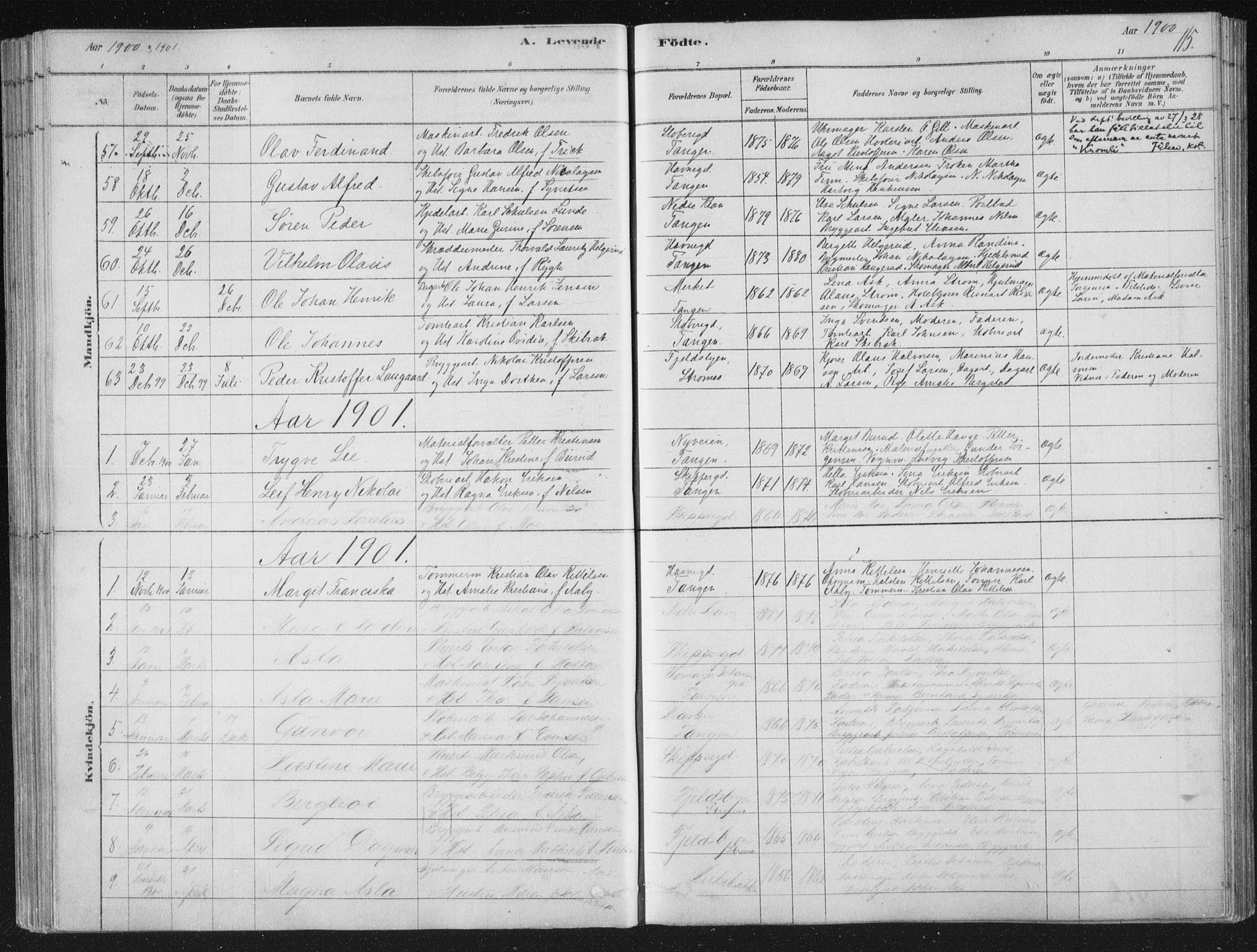 Strømsø kirkebøker, SAKO/A-246/F/Fb/L0005: Parish register (official) no. II 5, 1877-1902, p. 115