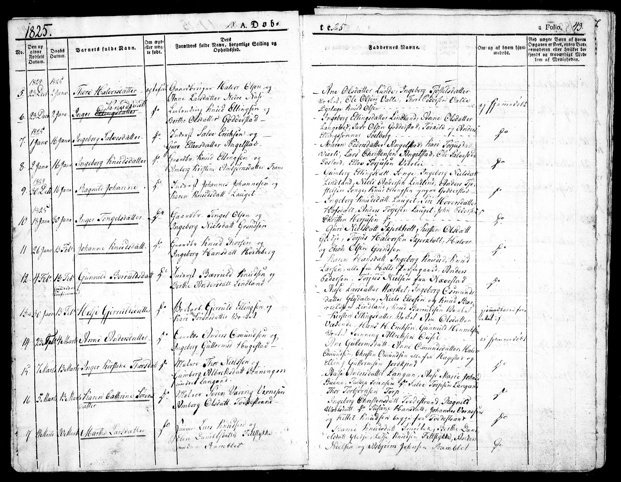 Holt sokneprestkontor, AV/SAK-1111-0021/F/Fa/L0006: Parish register (official) no. A 6, 1820-1835, p. 43