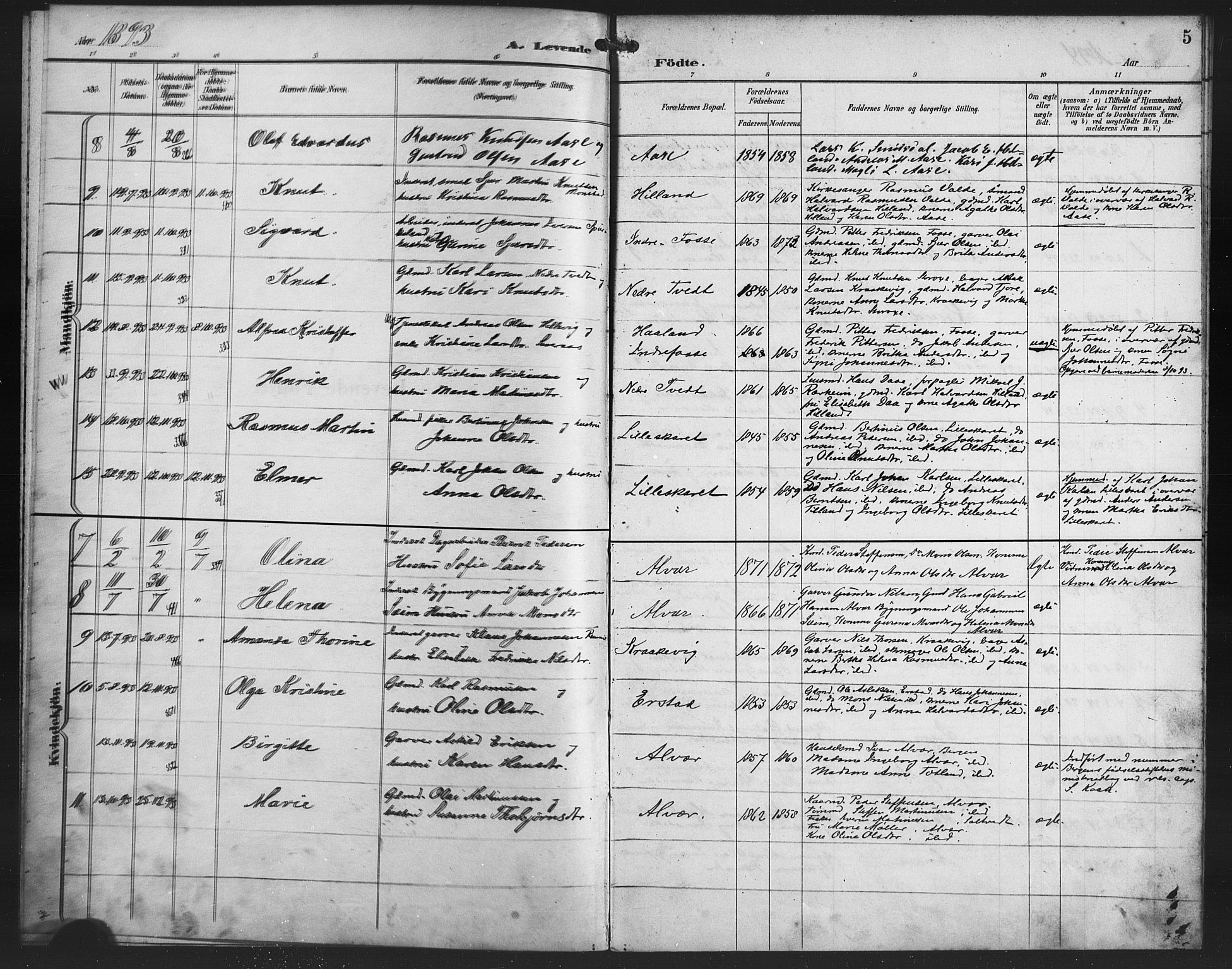 Alversund Sokneprestembete, SAB/A-73901/H/Ha/Haa/Haaa/L0002: Parish register (official) no. A 2, 1893-1896, p. 5