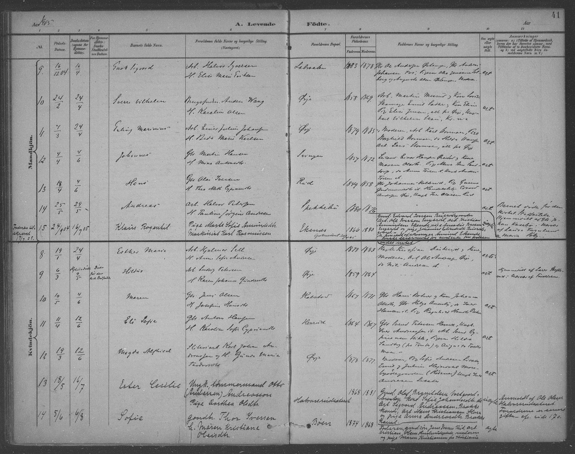 Aremark prestekontor Kirkebøker, SAO/A-10899/F/Fb/L0005: Parish register (official) no. II 5, 1895-1919, p. 41