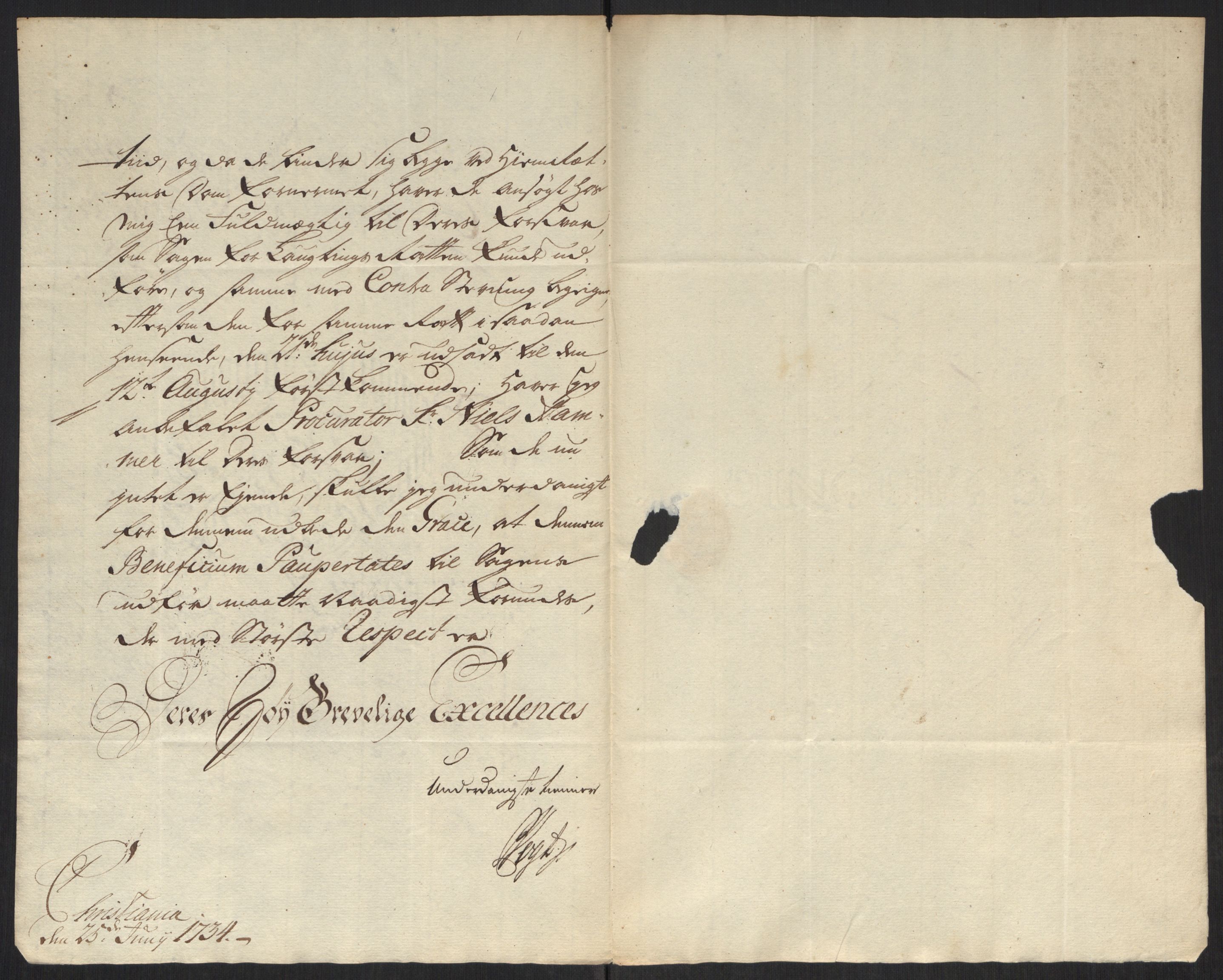 Stattholderembetet 1572-1771, AV/RA-EA-2870/Ef/L0107: Brev fra embetsmenn og andre, 1733-1734, p. 309