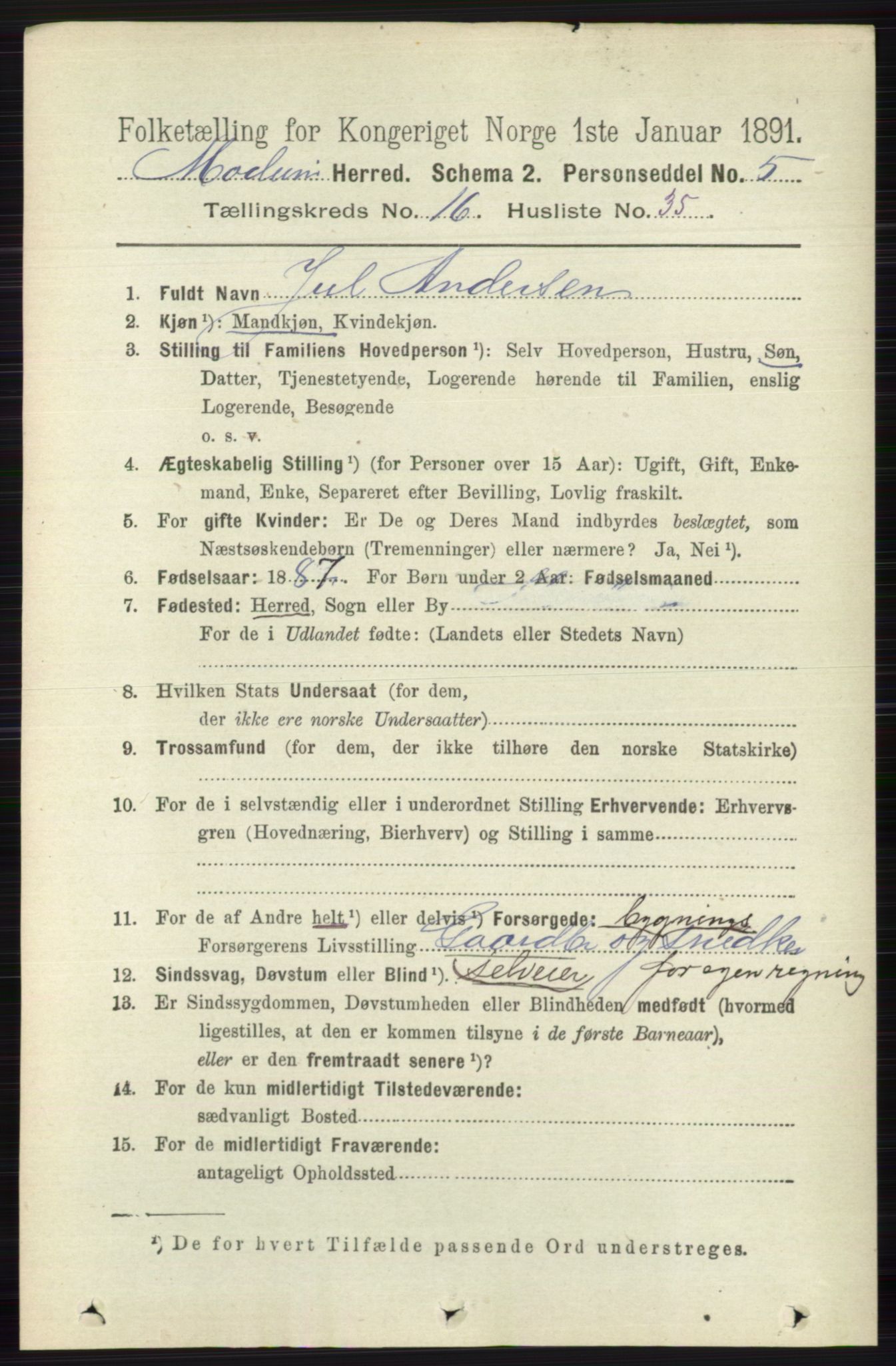 RA, 1891 census for 0623 Modum, 1891, p. 6384