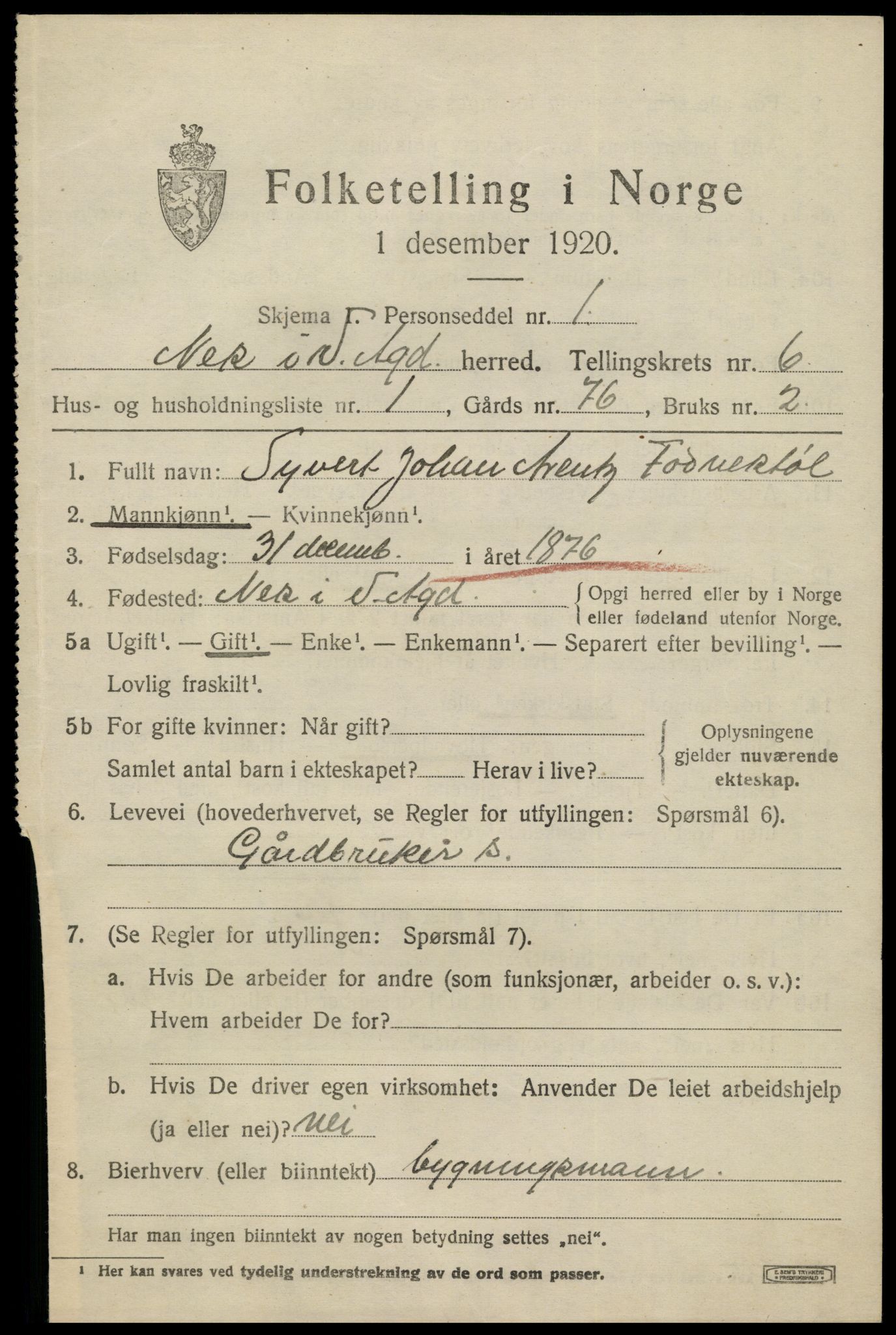 SAK, 1920 census for Nes (V-A), 1920, p. 2960