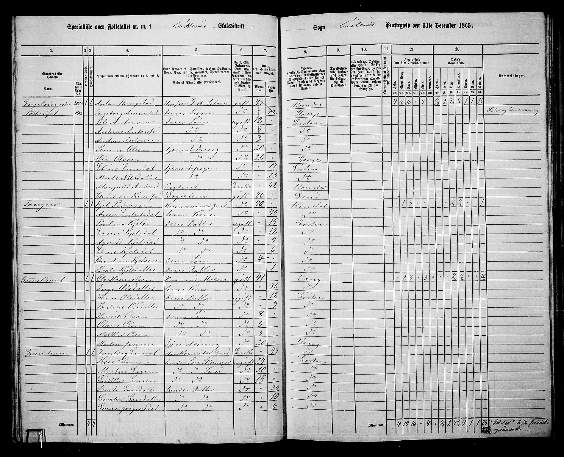 RA, 1865 census for Løten, 1865, p. 51