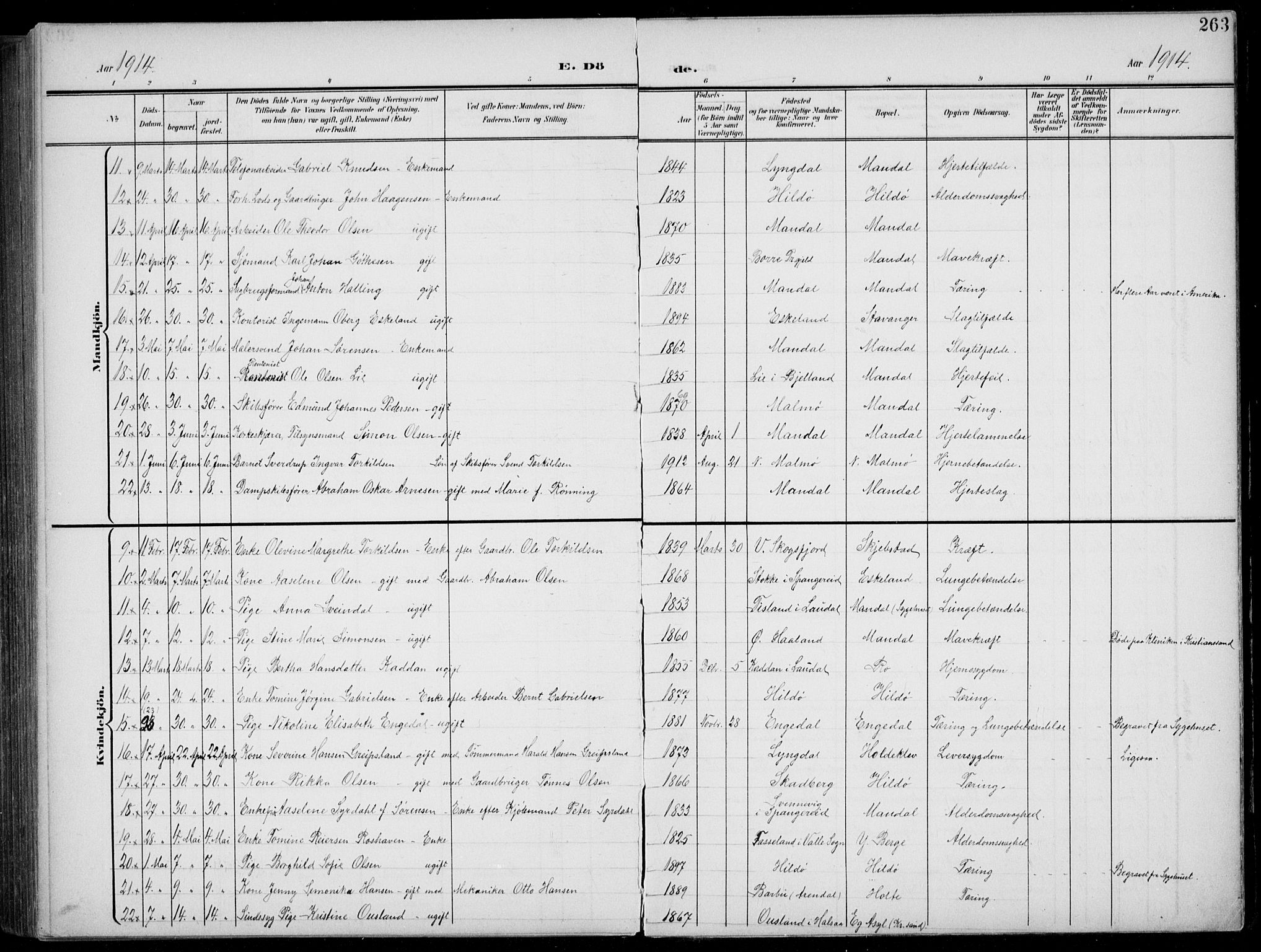 Mandal sokneprestkontor, AV/SAK-1111-0030/F/Fb/Fba/L0012: Parish register (copy) no. B 6, 1899-1918, p. 263