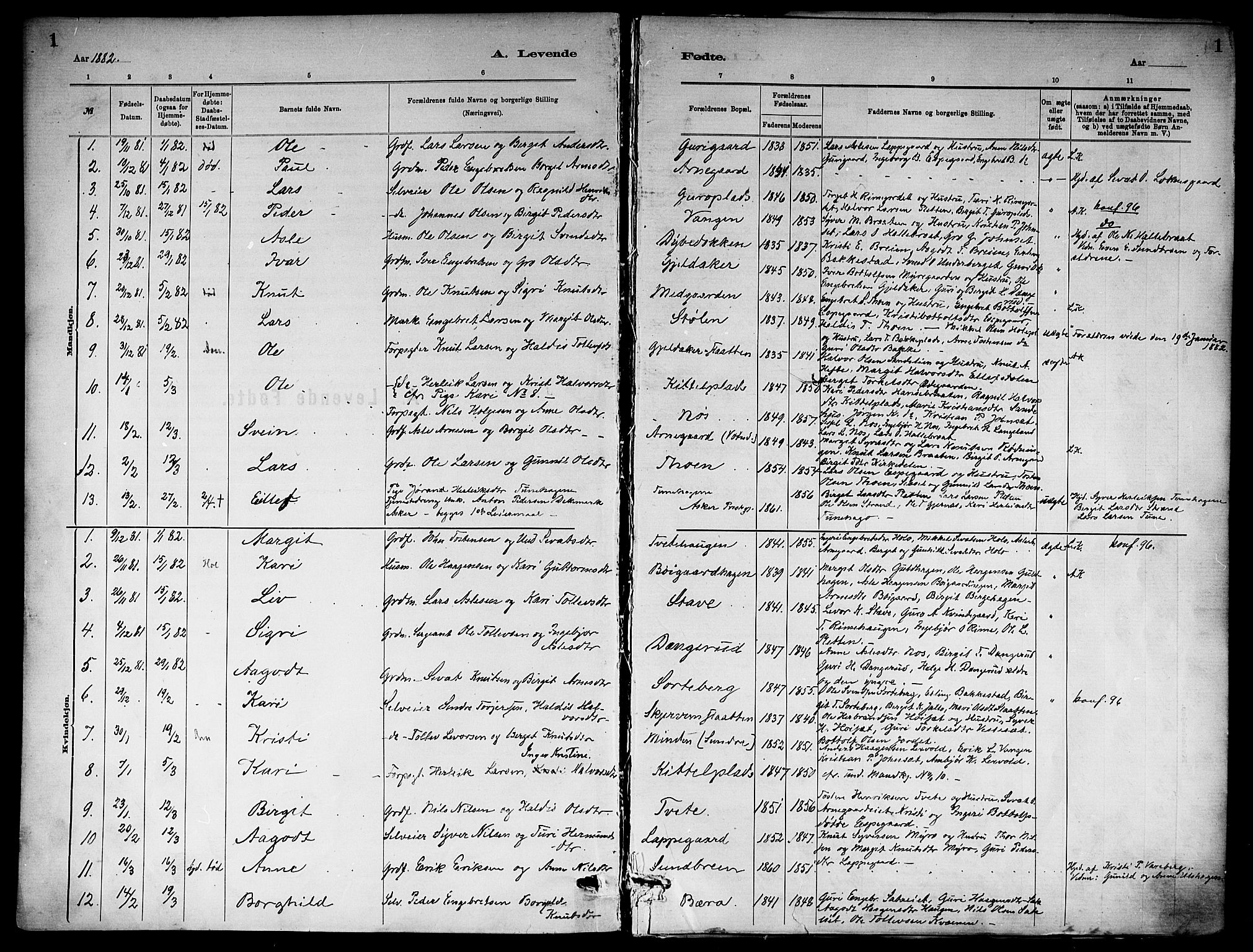 Ål kirkebøker, AV/SAKO-A-249/F/Fa/L0008: Parish register (official) no. I 8, 1882-1896, p. 1