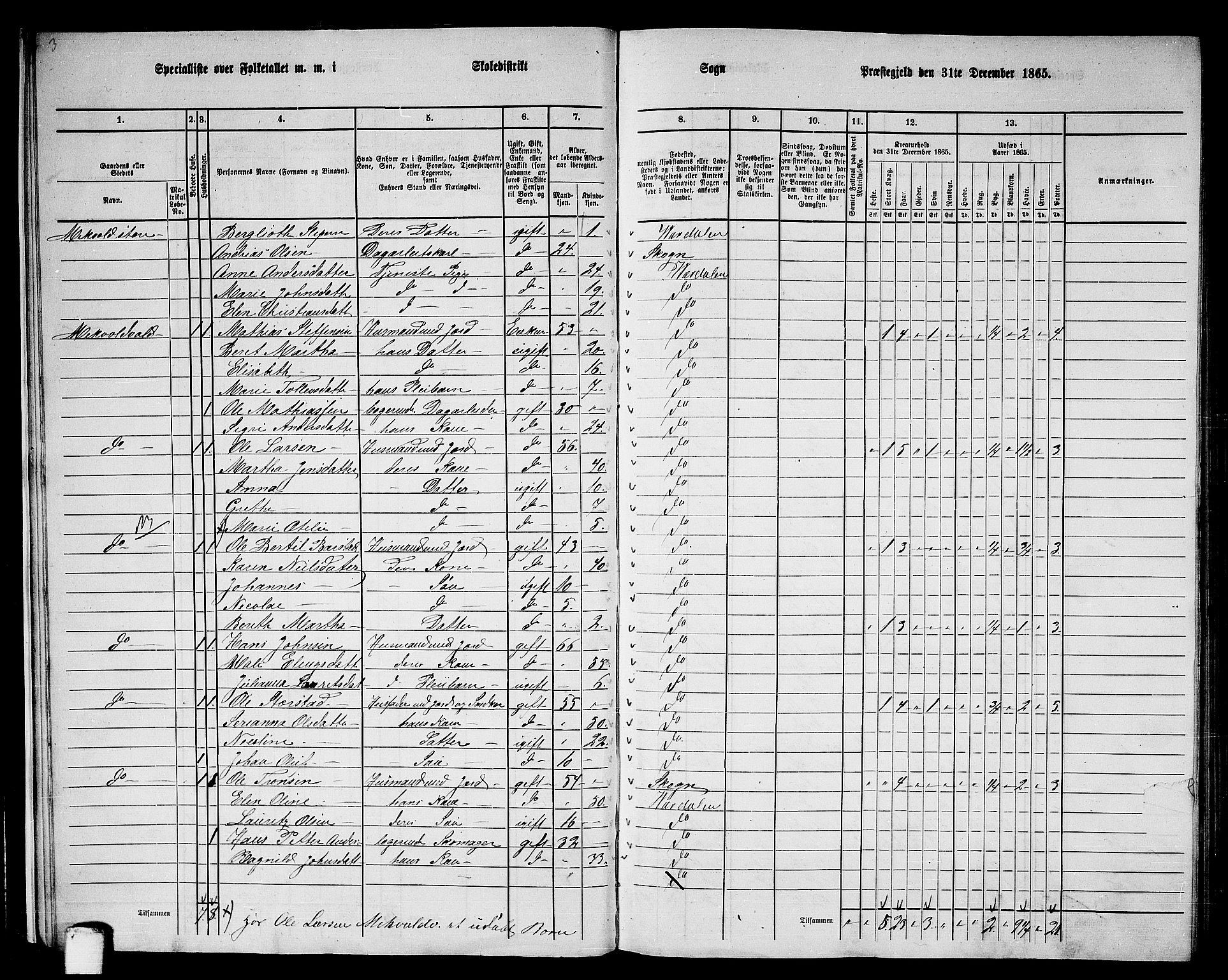 RA, 1865 census for Verdal, 1865, p. 15