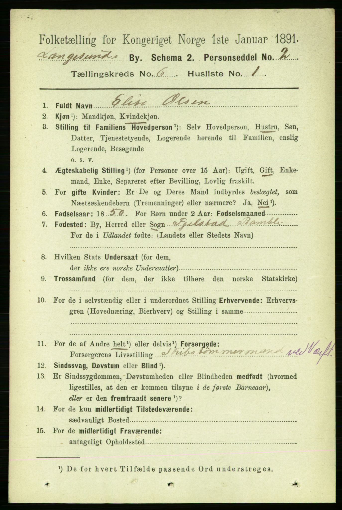 RA, 1891 census for 0802 Langesund, 1891, p. 1501