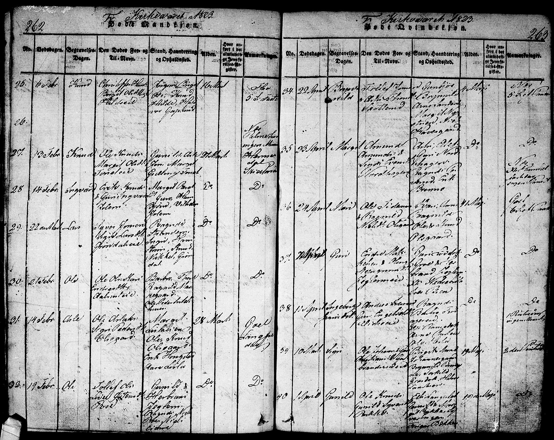 Nes kirkebøker, SAKO/A-236/F/Fa/L0007: Parish register (official) no. 7, 1815-1823, p. 262-263