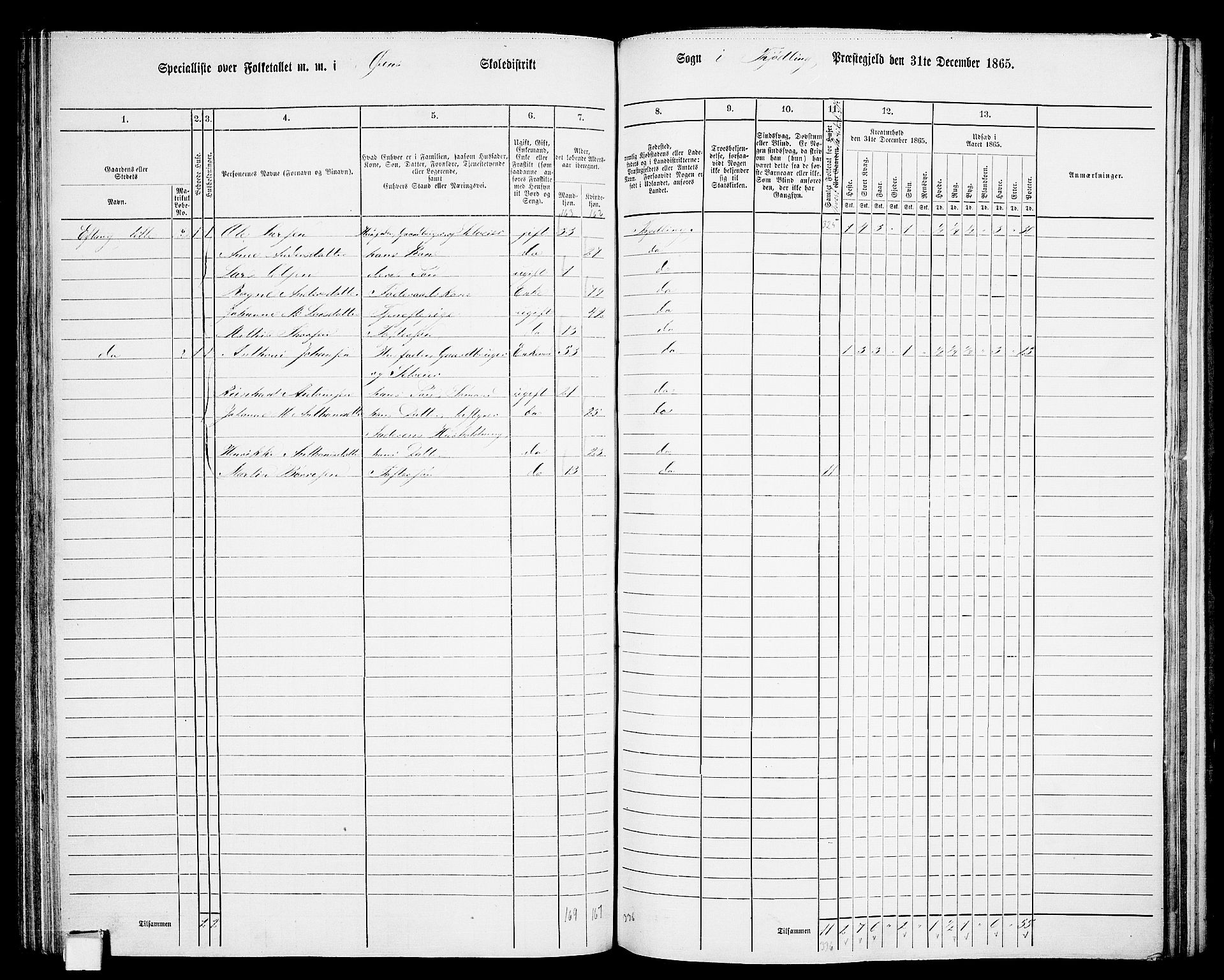 RA, 1865 census for Tjølling, 1865, p. 133