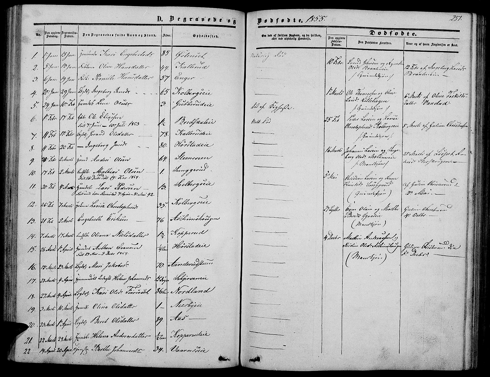 Vardal prestekontor, SAH/PREST-100/H/Ha/Hab/L0005: Parish register (copy) no. 5, 1854-1868, p. 251
