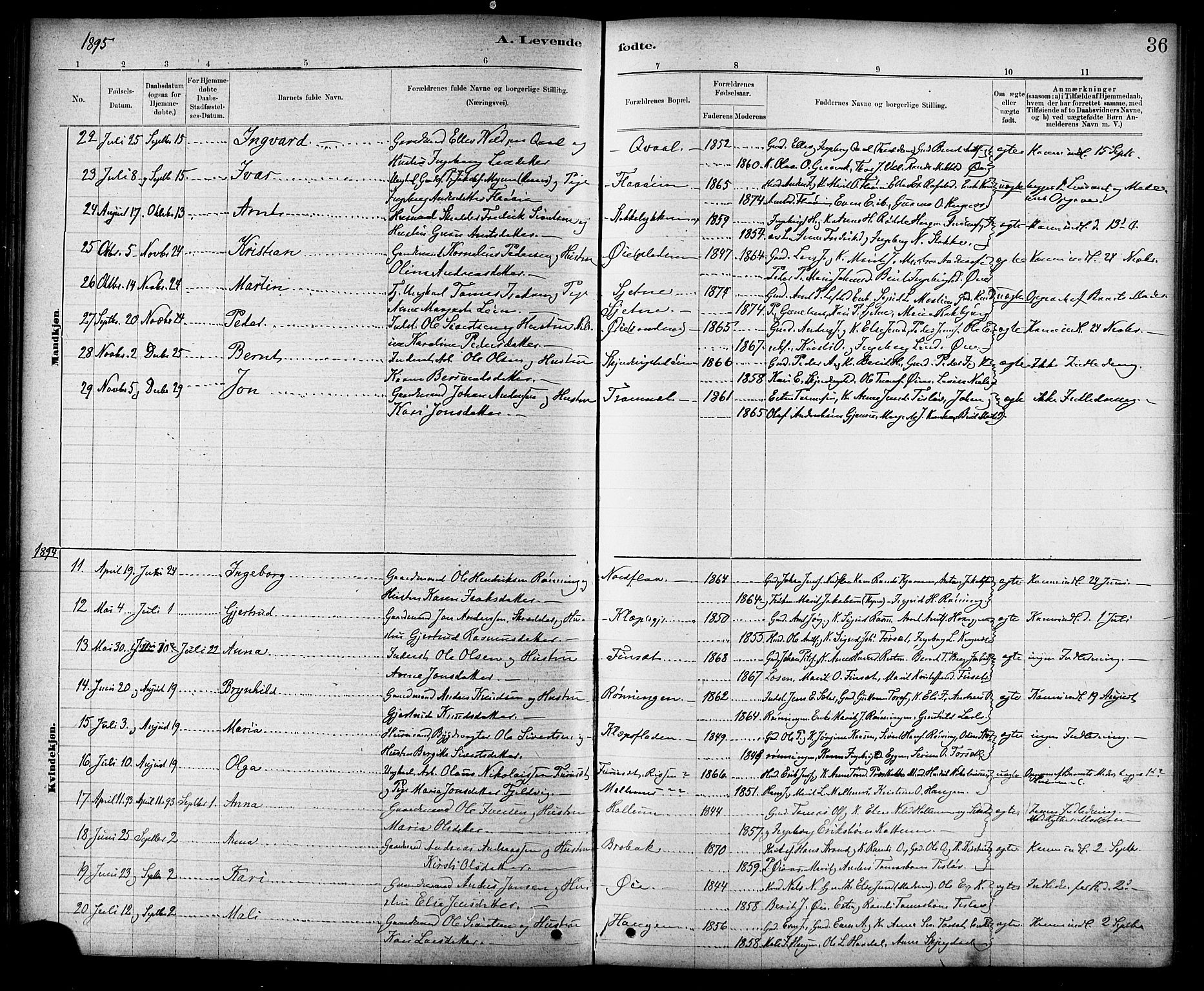 Ministerialprotokoller, klokkerbøker og fødselsregistre - Sør-Trøndelag, SAT/A-1456/691/L1094: Parish register (copy) no. 691C05, 1879-1911, p. 36