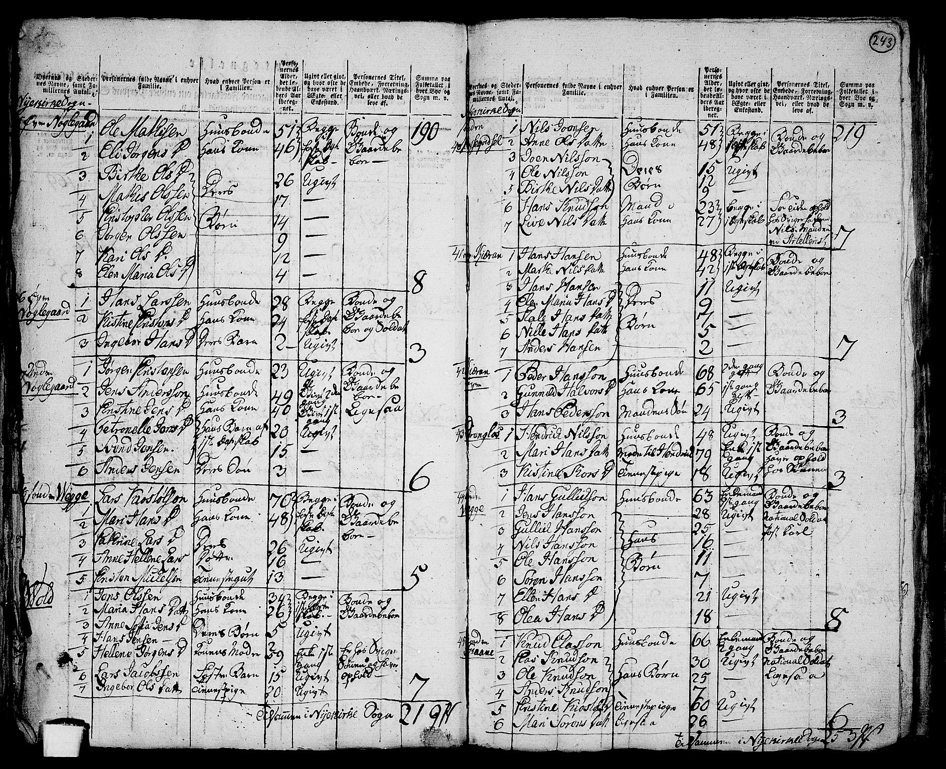 RA, 1801 census for 0717P Borre, 1801, p. 242b-243a