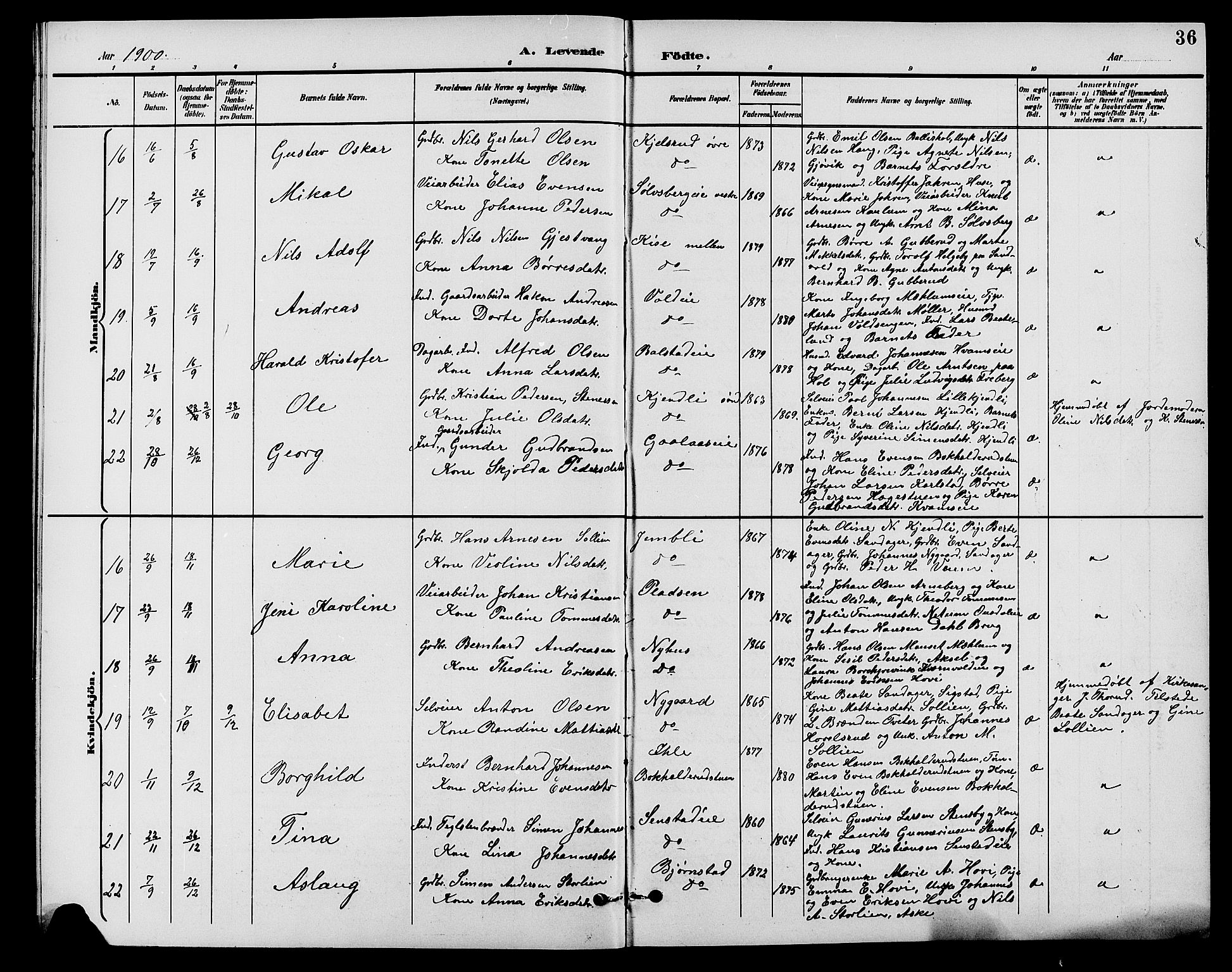 Nes prestekontor, Hedmark, AV/SAH-PREST-020/L/La/L0007: Parish register (copy) no. 7, 1892-1912, p. 36