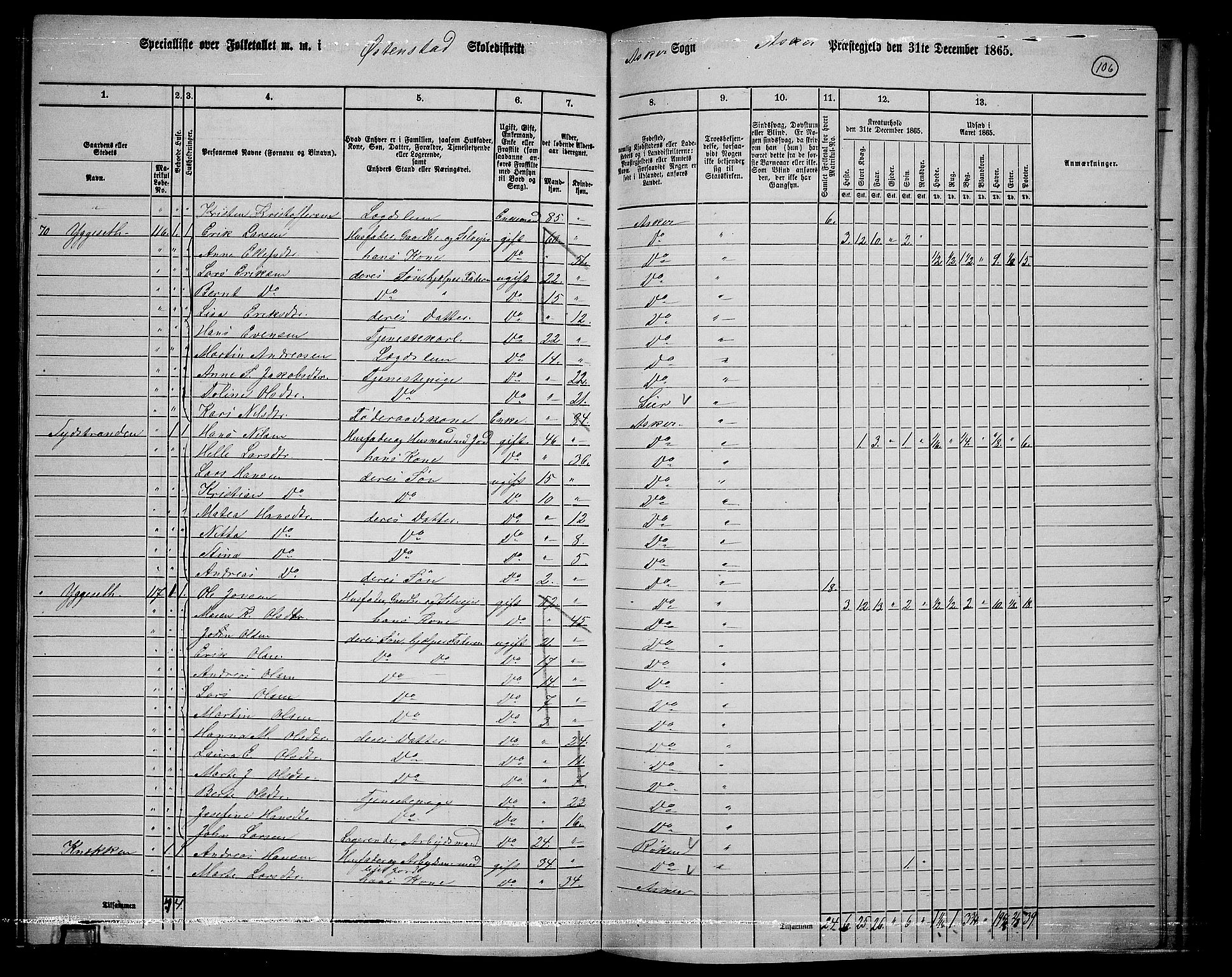 RA, 1865 census for Asker, 1865, p. 102