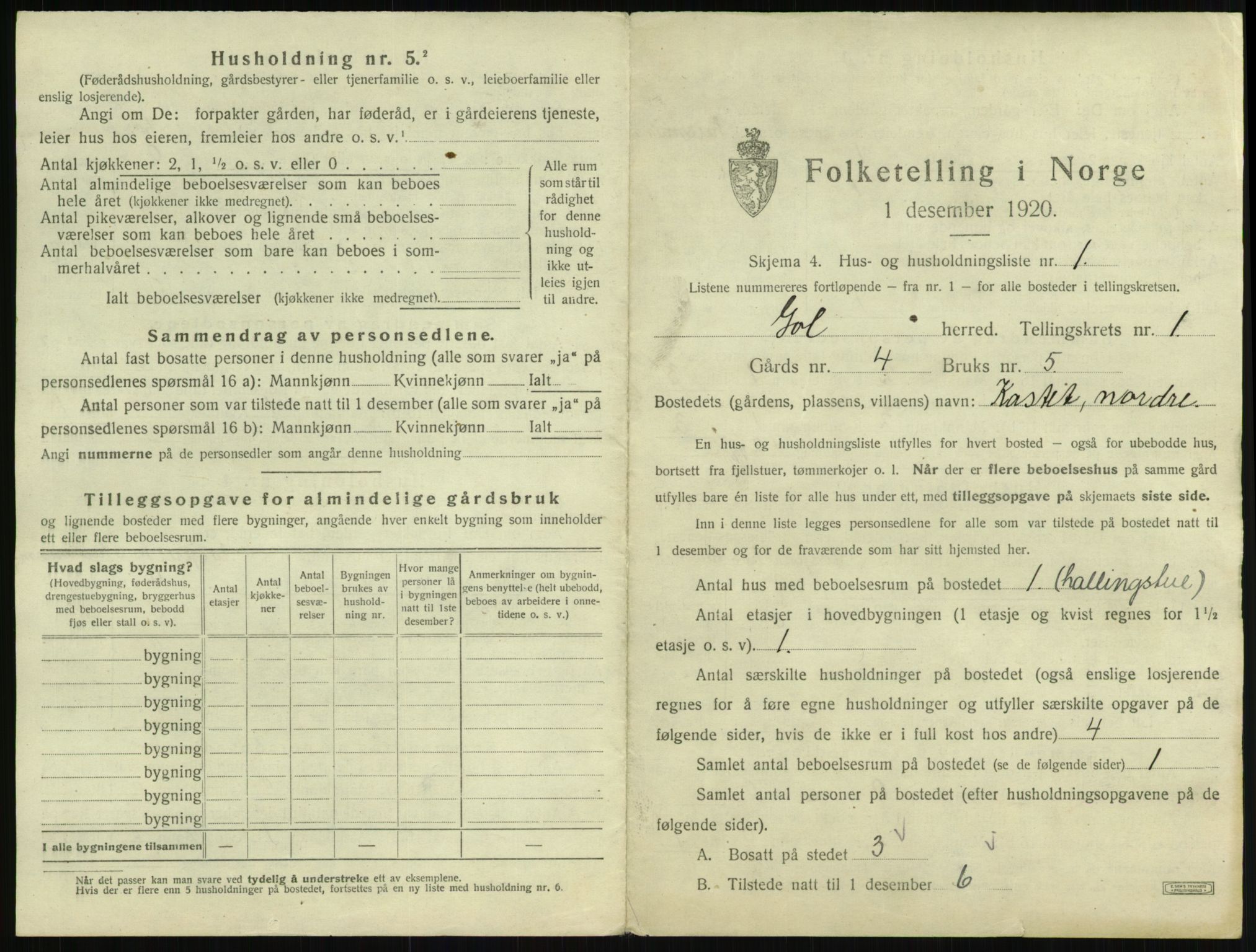 SAKO, 1920 census for Gol, 1920, p. 28