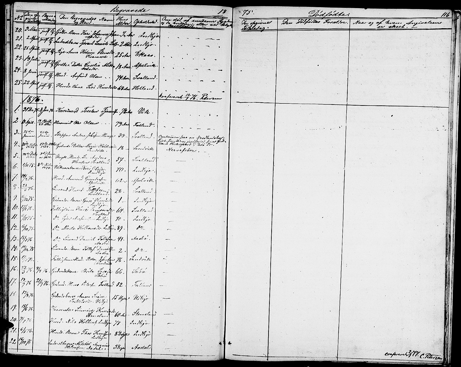Fjelberg sokneprestembete, SAB/A-75201/H/Hab: Parish register (copy) no. A 3, 1865-1887, p. 116