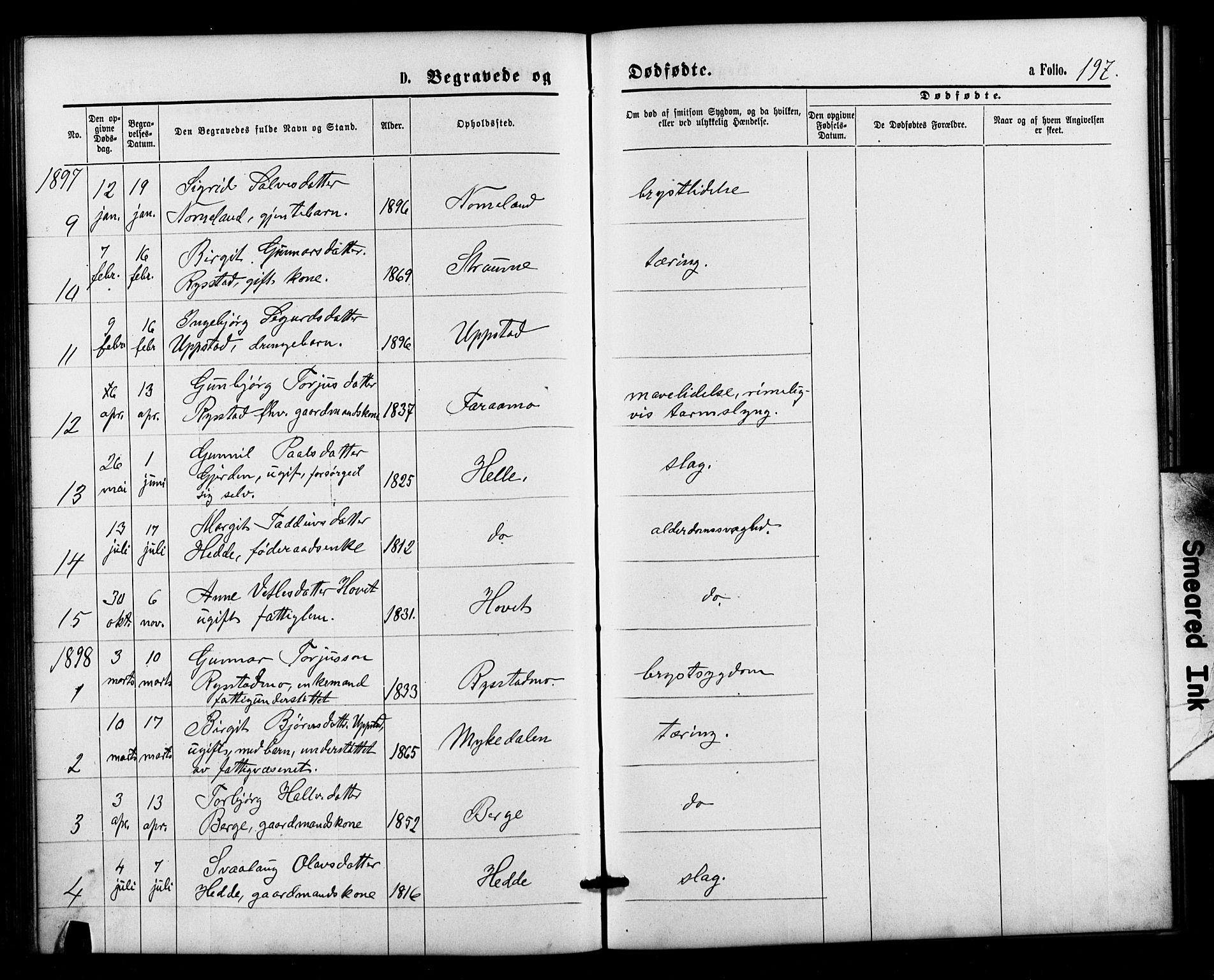 Valle sokneprestkontor, SAK/1111-0044/F/Fb/Fbb/L0002: Parish register (copy) no. B 2, 1875-1921, p. 197