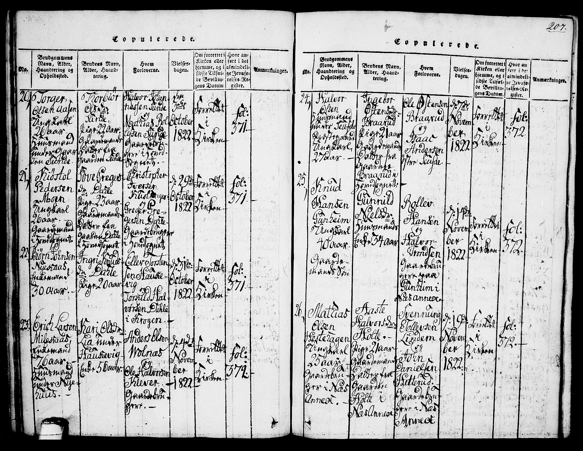 Sauherad kirkebøker, AV/SAKO-A-298/G/Ga/L0001: Parish register (copy) no. I 1, 1815-1827, p. 207