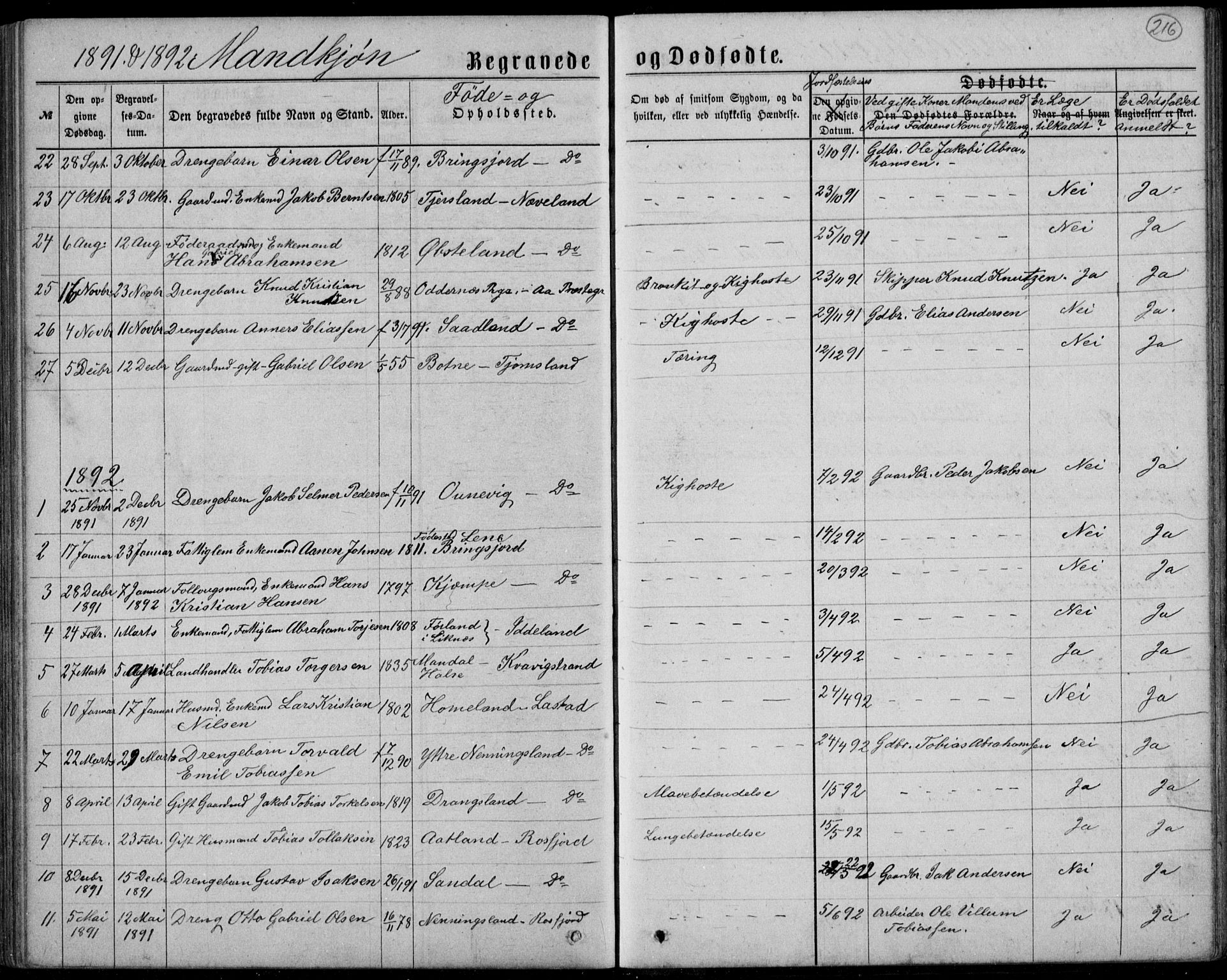 Lyngdal sokneprestkontor, AV/SAK-1111-0029/F/Fb/Fbc/L0004: Parish register (copy) no. B 4, 1878-1896, p. 216