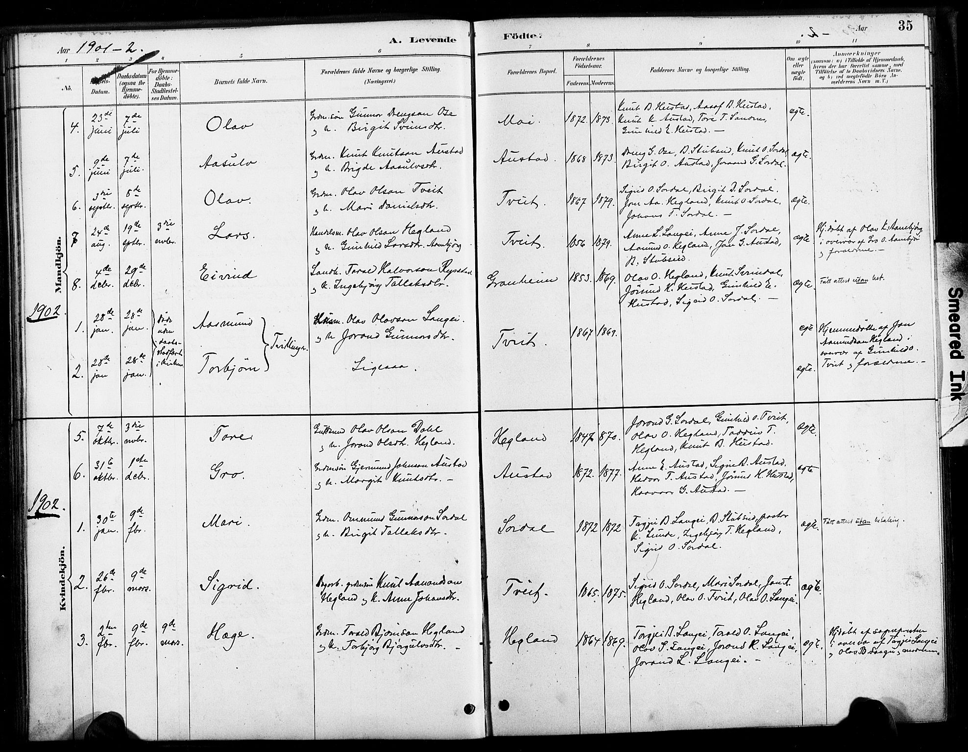 Bygland sokneprestkontor, SAK/1111-0006/F/Fa/Faa/L0001: Parish register (official) no. A 1, 1885-1908, p. 35