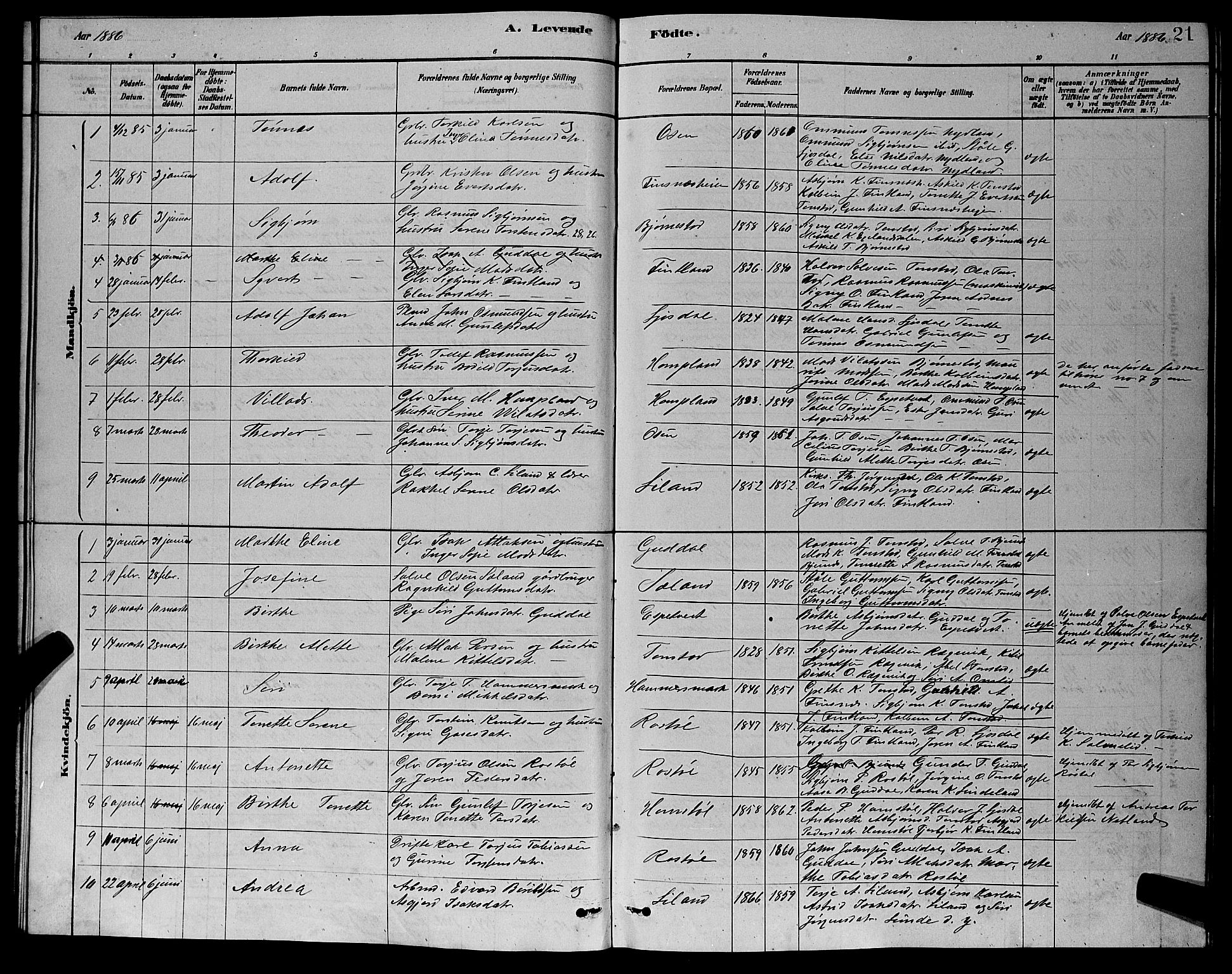 Sirdal sokneprestkontor, AV/SAK-1111-0036/F/Fb/Fbb/L0003: Parish register (copy) no. B 3, 1878-1894, p. 21