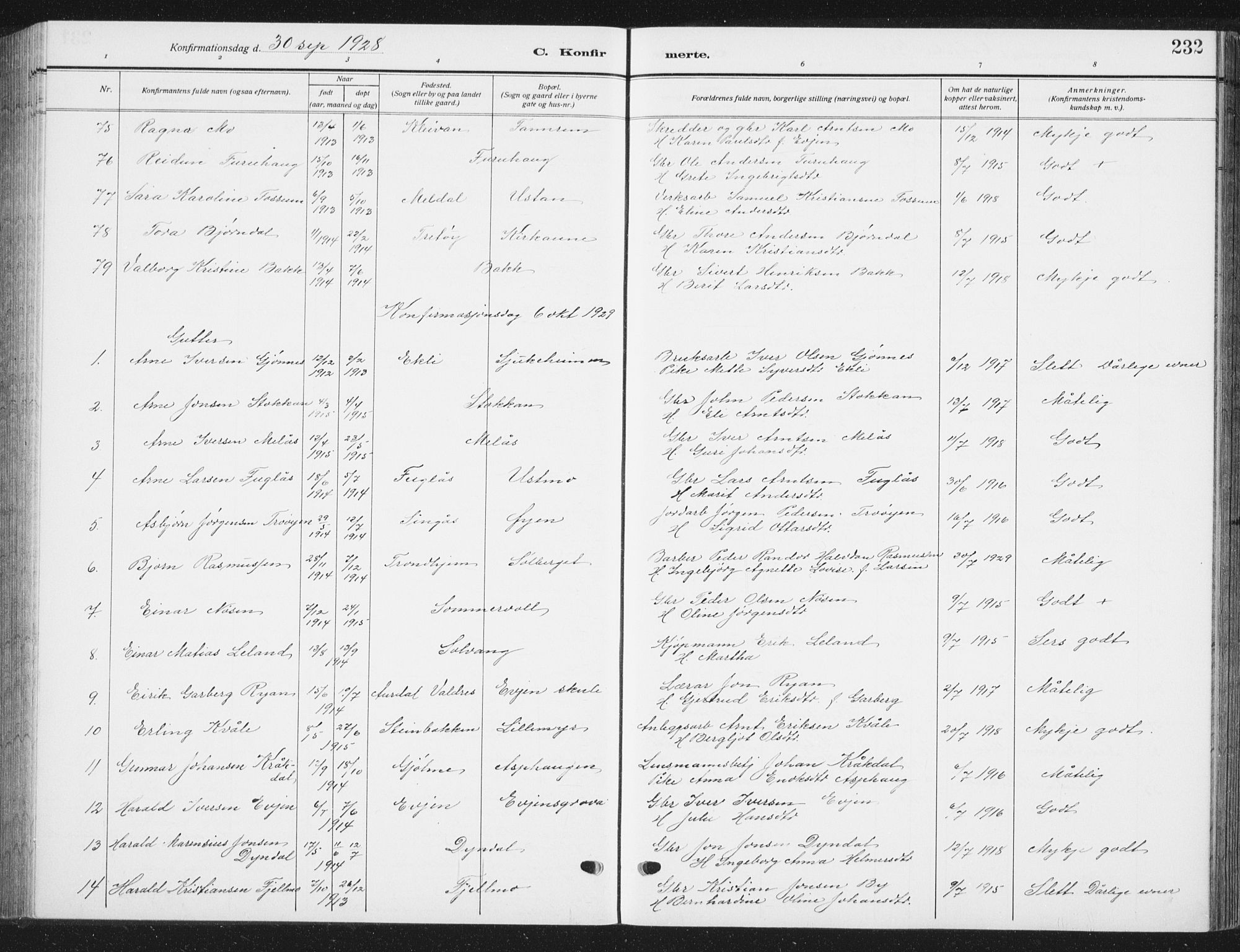 Ministerialprotokoller, klokkerbøker og fødselsregistre - Sør-Trøndelag, AV/SAT-A-1456/668/L0820: Parish register (copy) no. 668C09, 1912-1936, p. 232