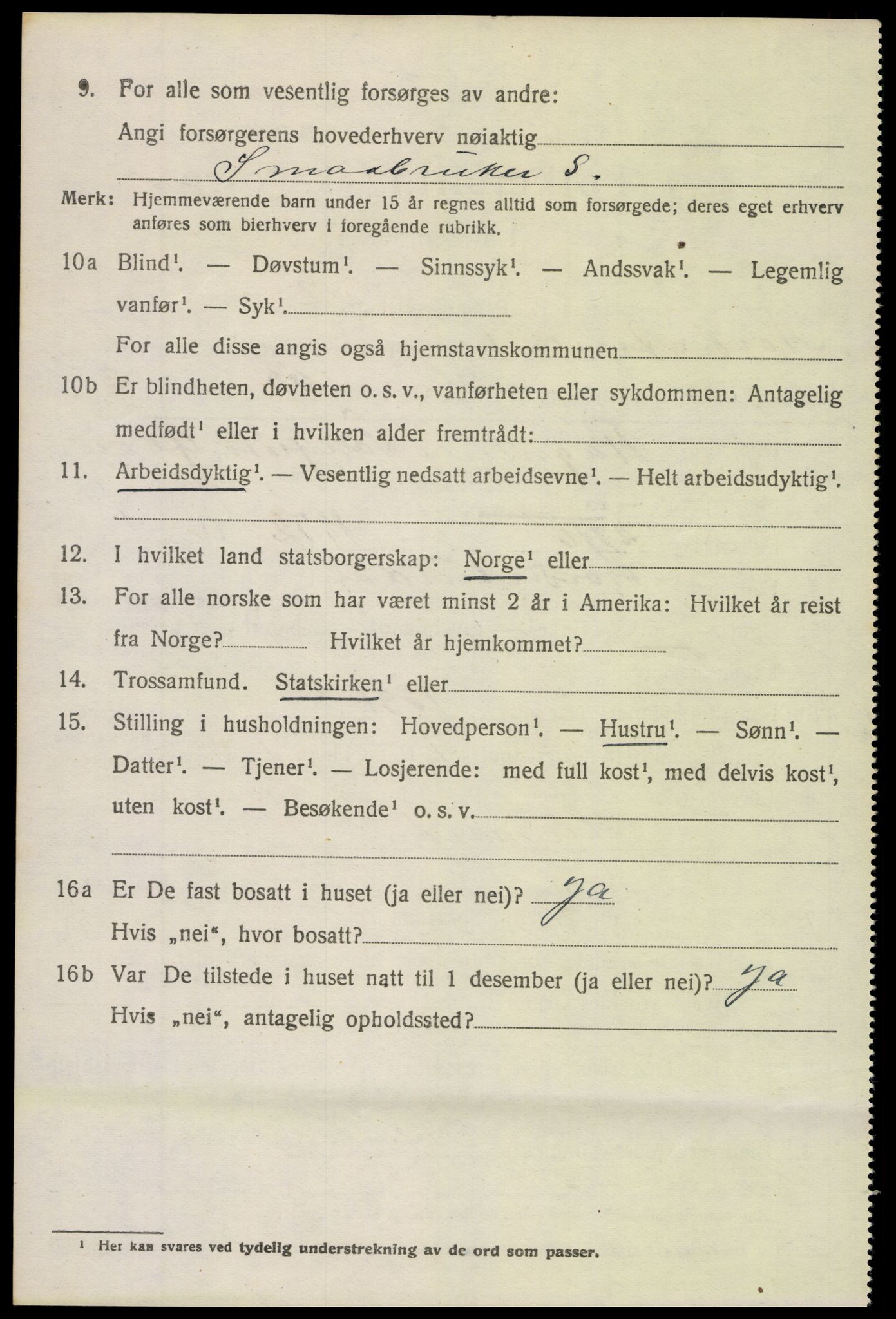 SAH, 1920 census for Nord-Aurdal, 1920, p. 6647