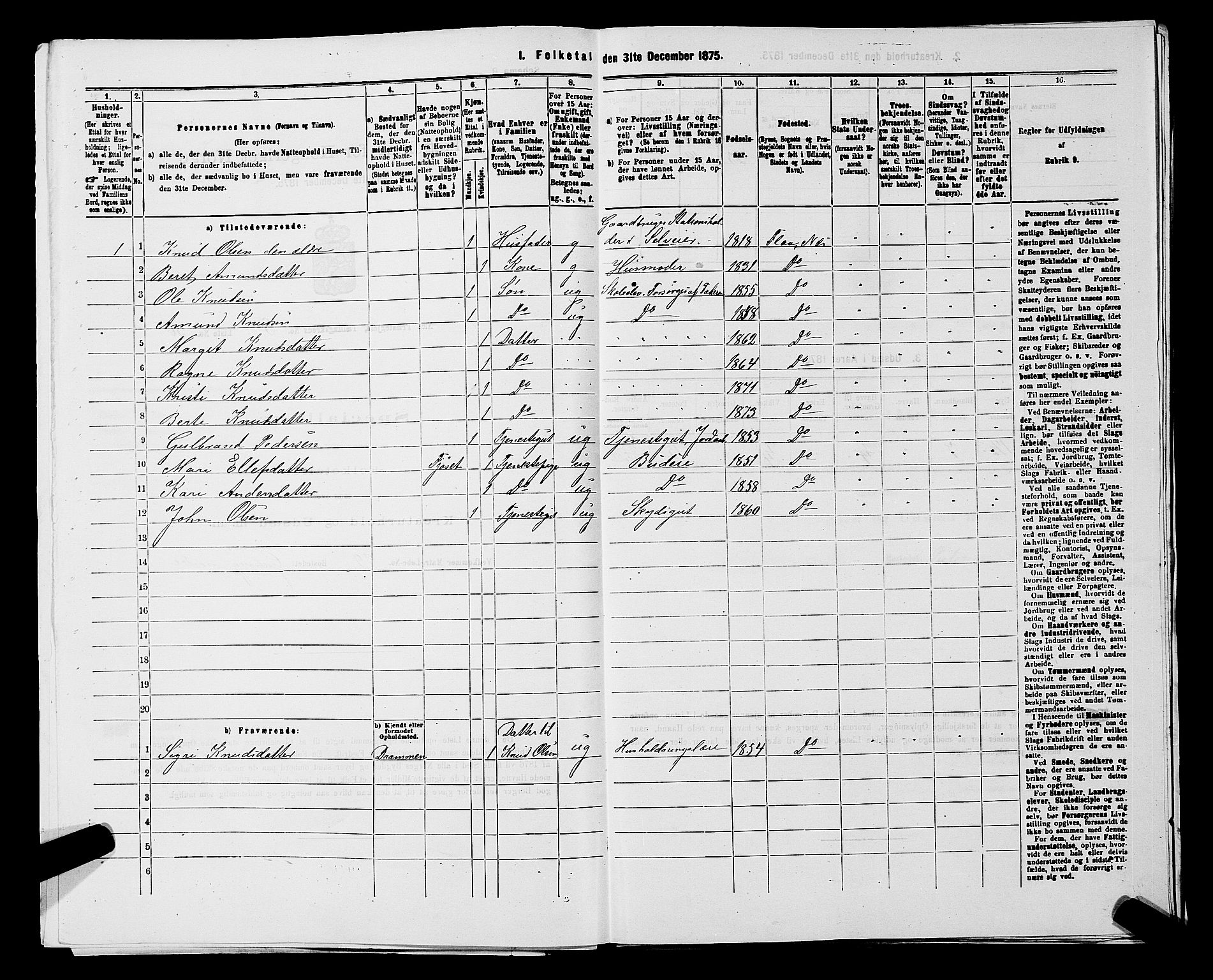 SAKO, 1875 census for 0616P Nes, 1875, p. 1324