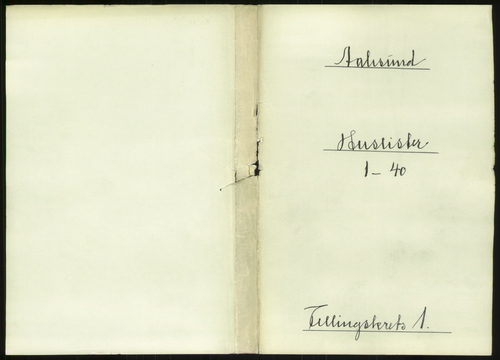 RA, 1891 census for 1501 Ålesund, 1891, p. 38