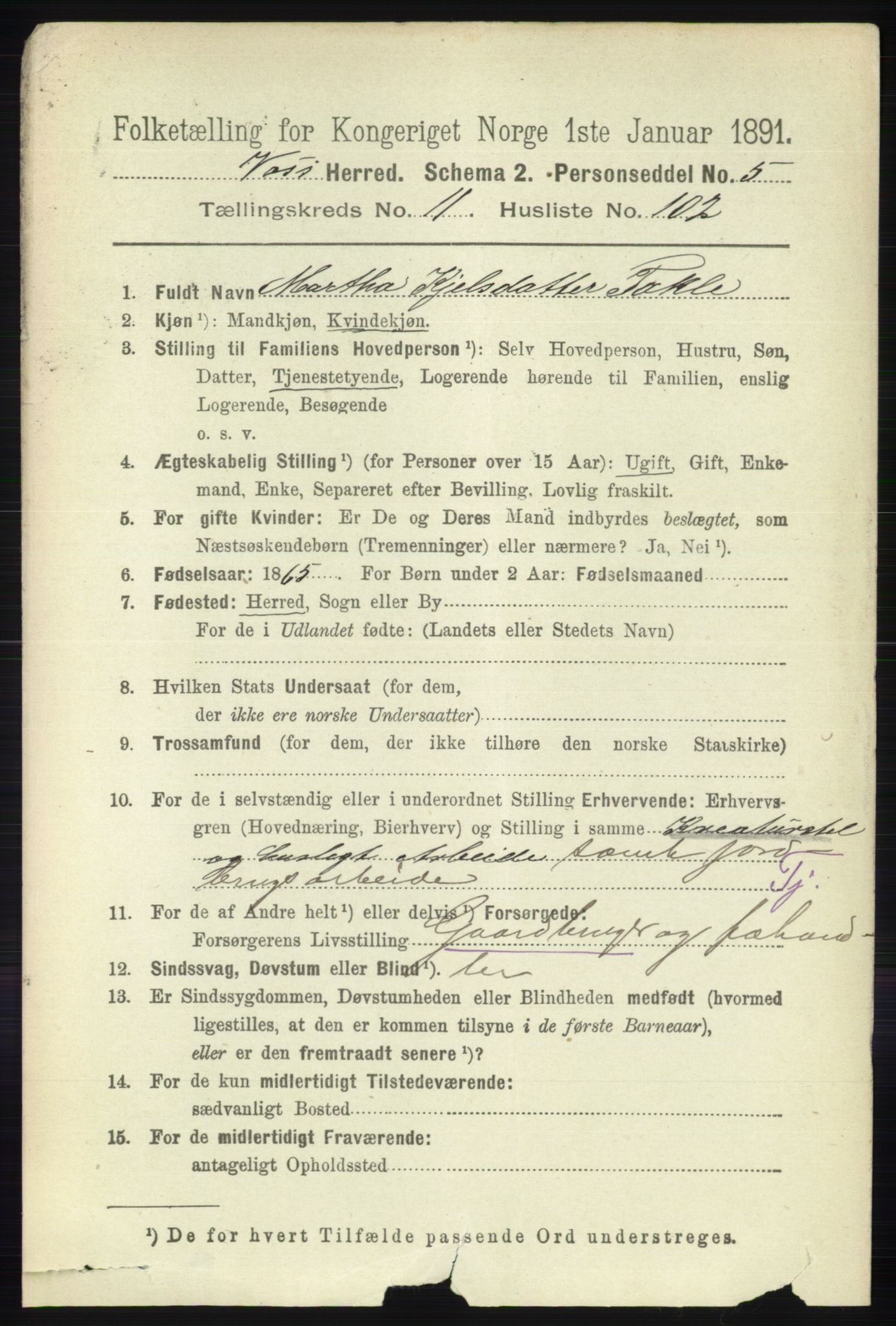 RA, 1891 census for 1235 Voss, 1891, p. 6413