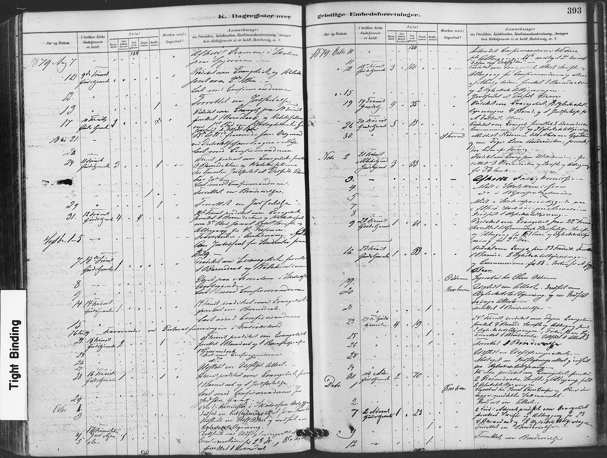 Hvaler prestekontor Kirkebøker, SAO/A-2001/F/Fa/L0008: Parish register (official) no. I 8, 1878-1895, p. 393